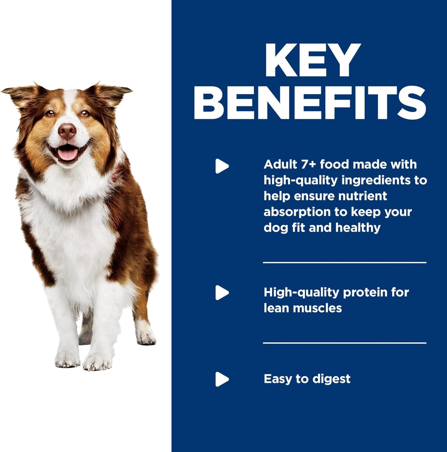 Adult 7+, Senior Adult 7+ Premium Nutrition, Wet Dog Food, Variety Pack: Chicken & Barley; Beef & Barley Loaf, 13 Oz Can Variety Pack, Case of 12