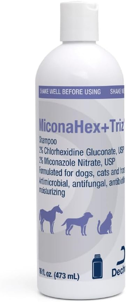 Shampoo for Dogs, Cats and Horses, 16 Oz