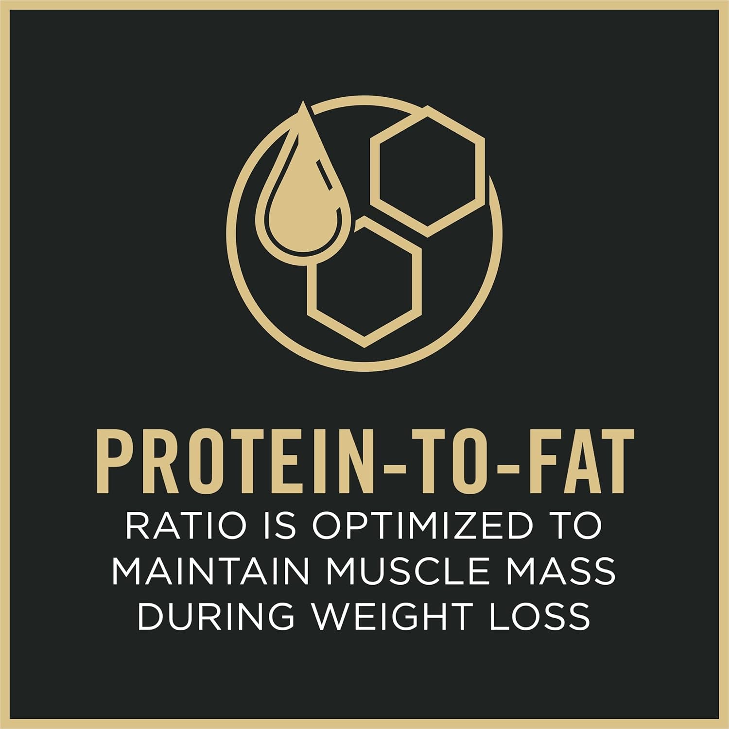 Weight Management Dog Food Dry, Shredded Blend Chicken and Rice Formula - 6 Lb. Bag