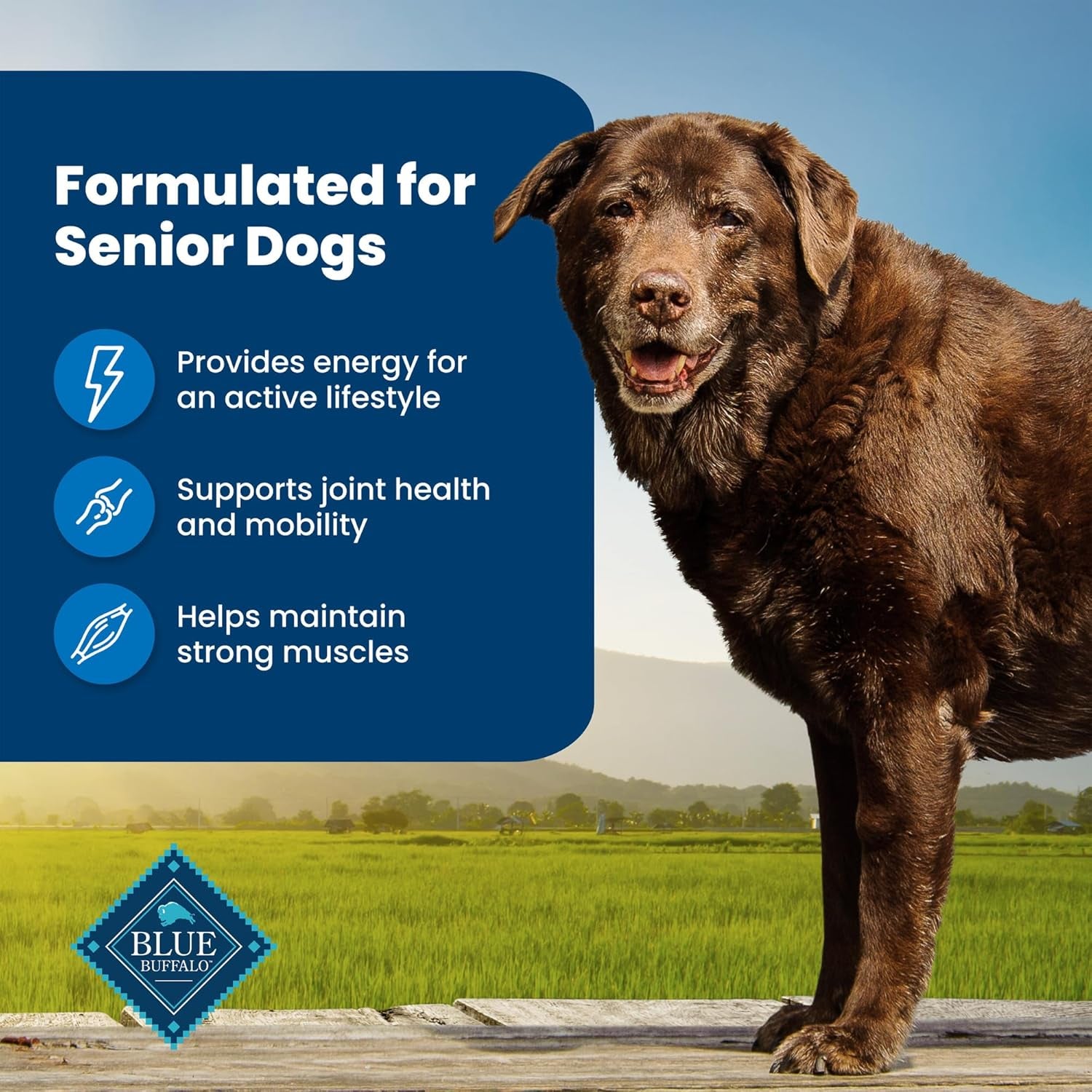 Life Protection Formula Natural Senior Dry Dog Food, Chicken and Brown Rice 5-Lb Trial Size Bag