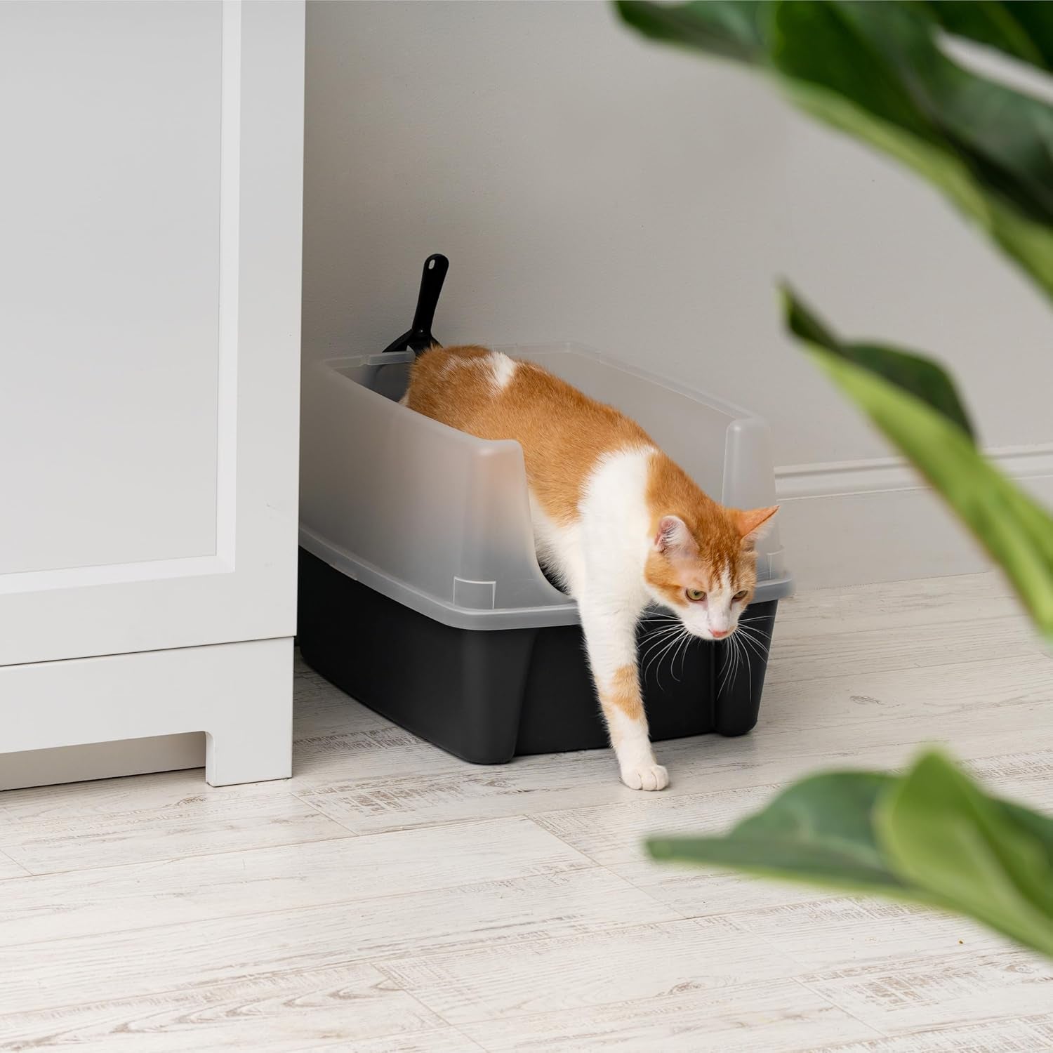 USA Large Open Top Cat Litter Box with High Sides, Scatter Shield & Scoop, Black - Easy Clean Plastic Litter Pan for Indoor Cats, Kittens or Multicat Homes