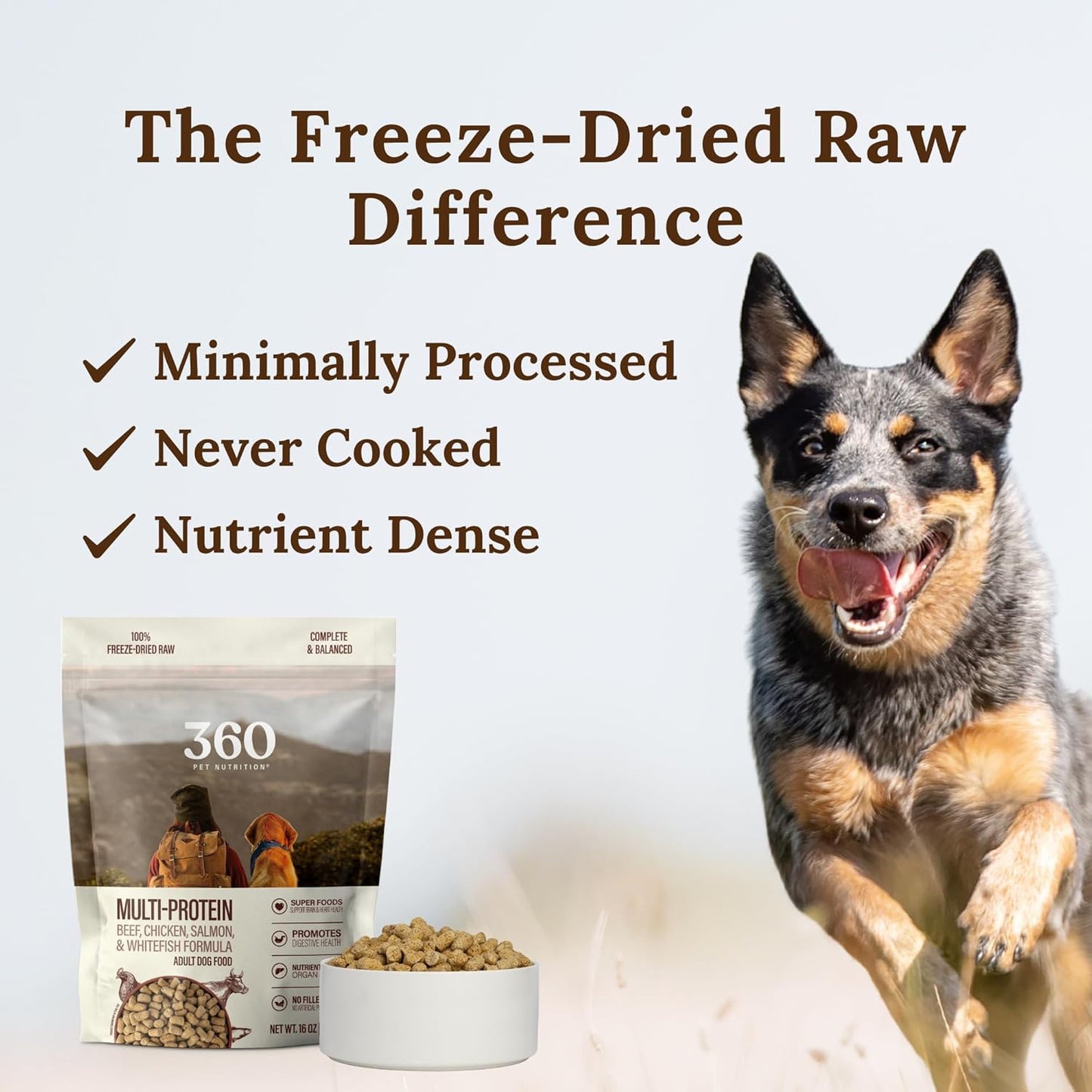 Freeze-Dried Raw Dog Food – Multi-Protein with Beef, Chicken, Fish, Liver & Organs, High Protein, Omega-3S, Fruits, Veggies & Superfoods, Grain-Free, No Fillers, 1 Lb – Made in USA