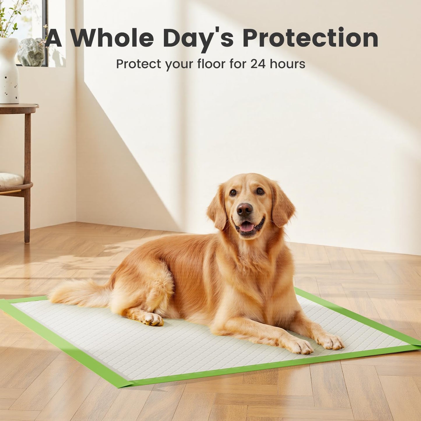 Dog Pee Pads Extra Large 28"X34", XL Thicker ECO Green Disposable Xlarge Puppy Training Pads Super Absorbent Full Edge-Wrapping Pad for Dogs, Puppies, Doggie, Cats, Rabbits-(30 Count)
