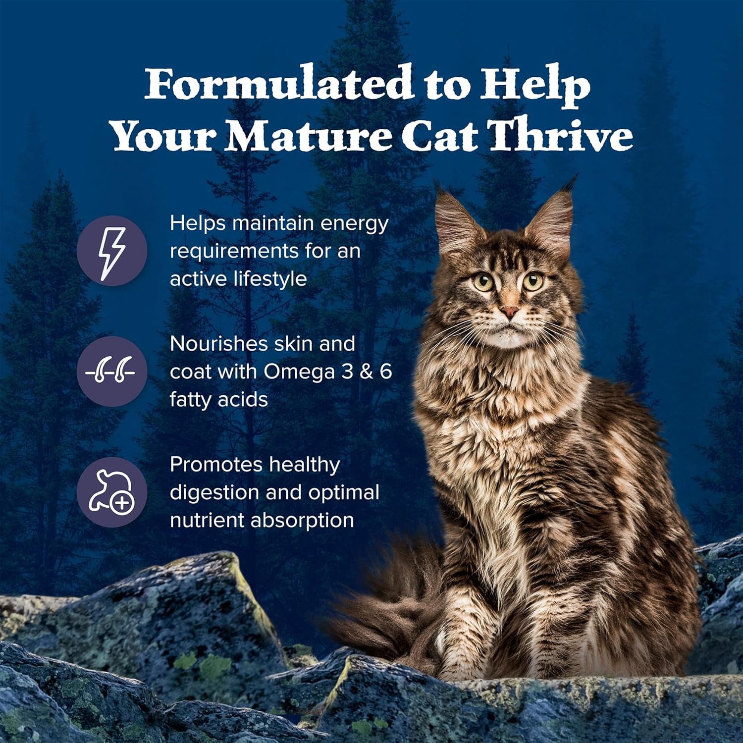 Wilderness Natural Mature Dry Cat Food for Cats 7+ Years, High-Protein and Grain-Free Diet, Supports Immune System Health and Energy to Stay Active, Chicken, 5-Lb. Bag