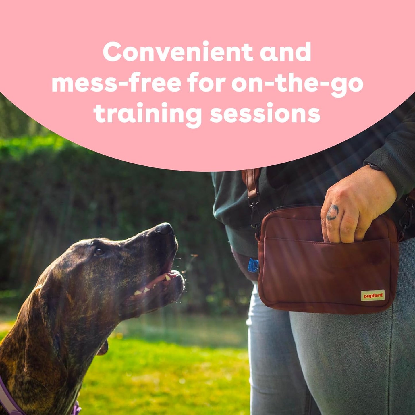 Freeze Dried Training Treats for Dogs & Puppies, 475+ Two Ingredient Bites (Salmon, 4 Oz)