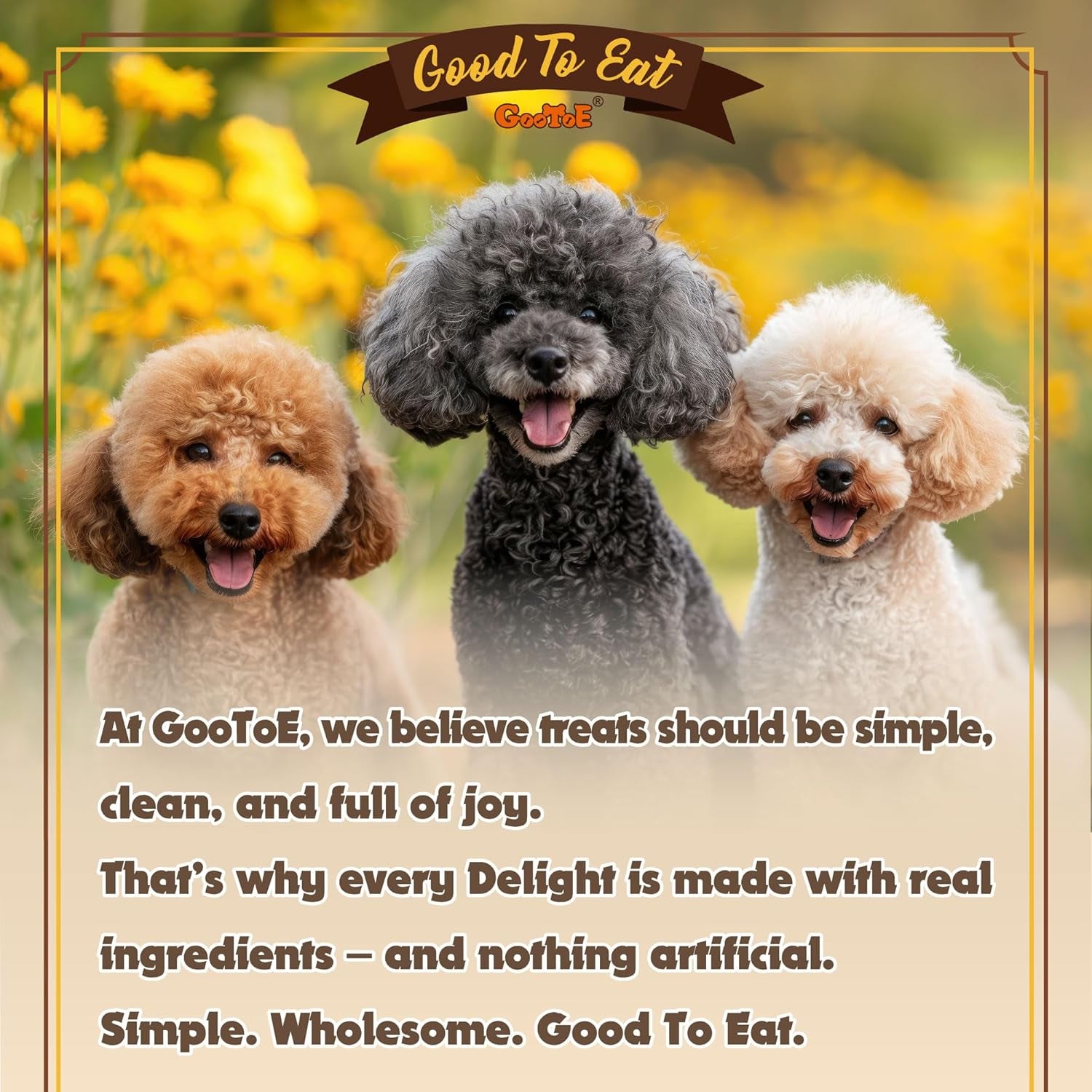 Turkey Tendons for Dogs – All-Natural, Hypoallergenic Dog Treats, Rawhide Alternative, Long Lasting Puppy Chews, Healthy Dog Treats for Small Breeds, Strips, 16 Oz Pack (1 Lb)