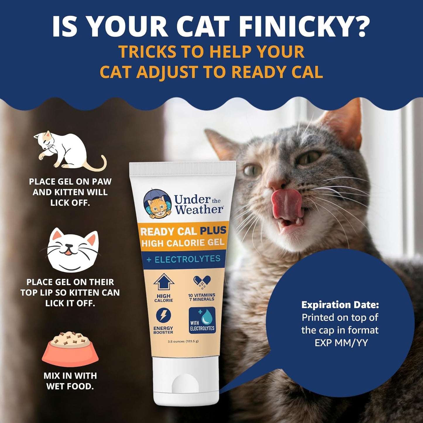 Pet Electrolytes Ready Cal plus Gel for Cats | Vet-Formulated High-Calorie Supplement for Cats & Kittens | Promotes Weight Gain & Boosts Energy for Sick Felines | 3.5 Oz Tube Pack