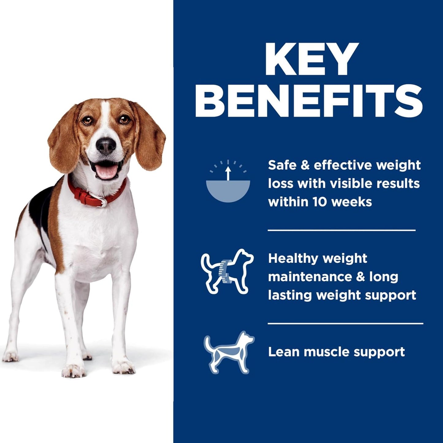 Perfect Weight, Adult 1-6, Weight Management Support, Small Kibble, Dry Dog Food, Chicken Recipe, 4 Lb Bag