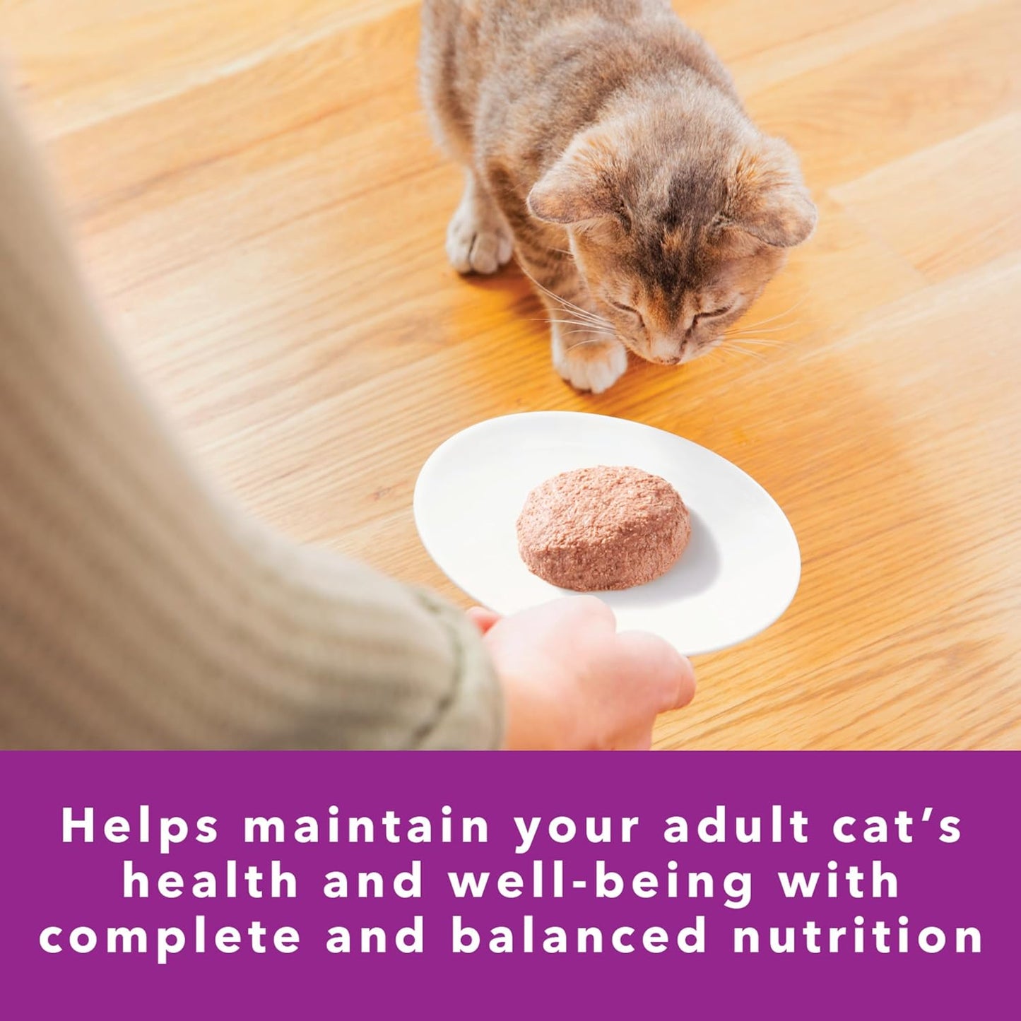 Perfect Portions Sensitive Digestion & Skin Adult Wet Cat Food Pate, Turkey Recipe, 2.6 Oz. Easy Peel Twin-Pack Trays (24 Count, 48 Servings)