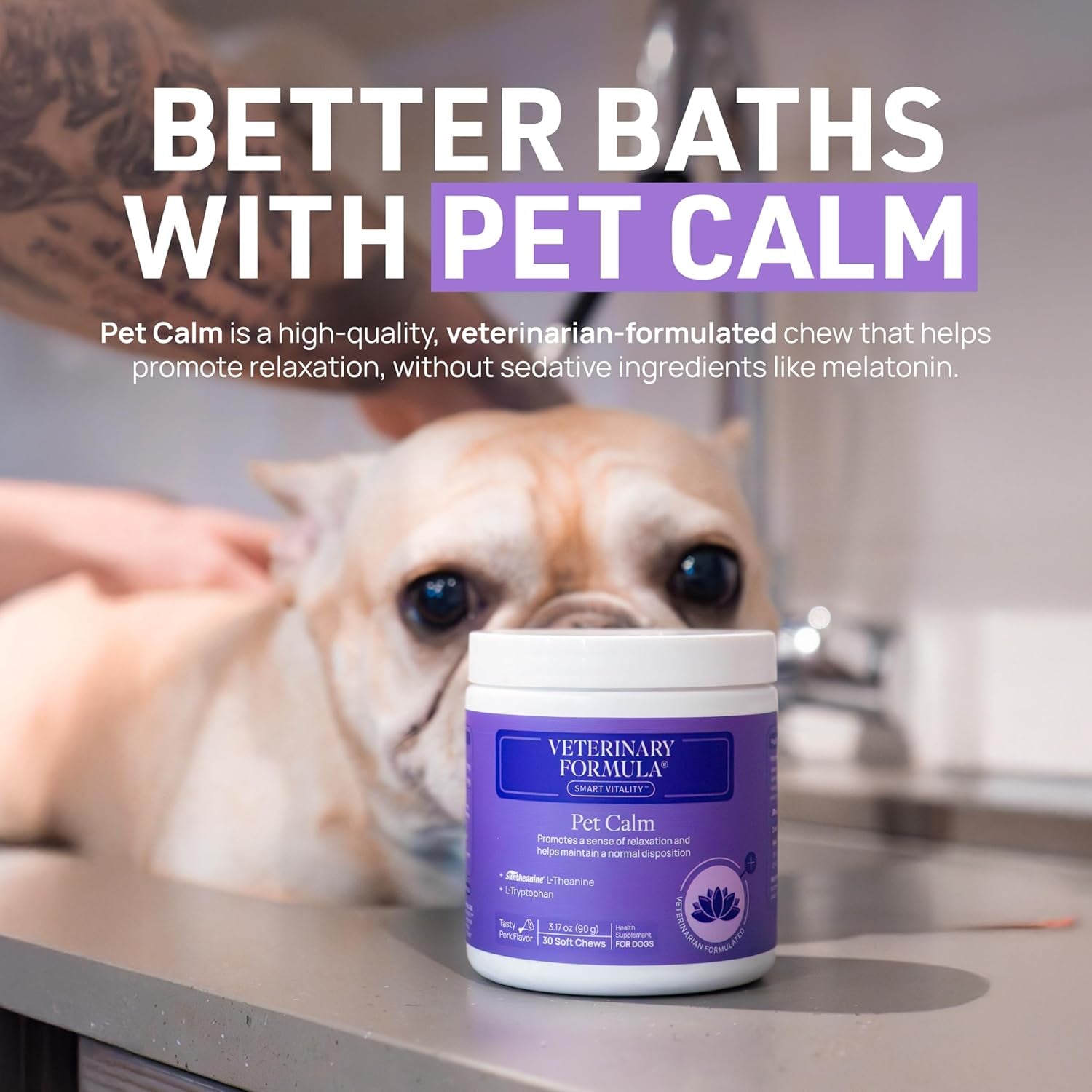 Clinical Care Antiparasitic & Antiseborrheic Medicated Dog Shampoo, 16 Oz – Paraben, Dye, Soap Free – Hydrating and Antifungal Shampoo for Dogs, White