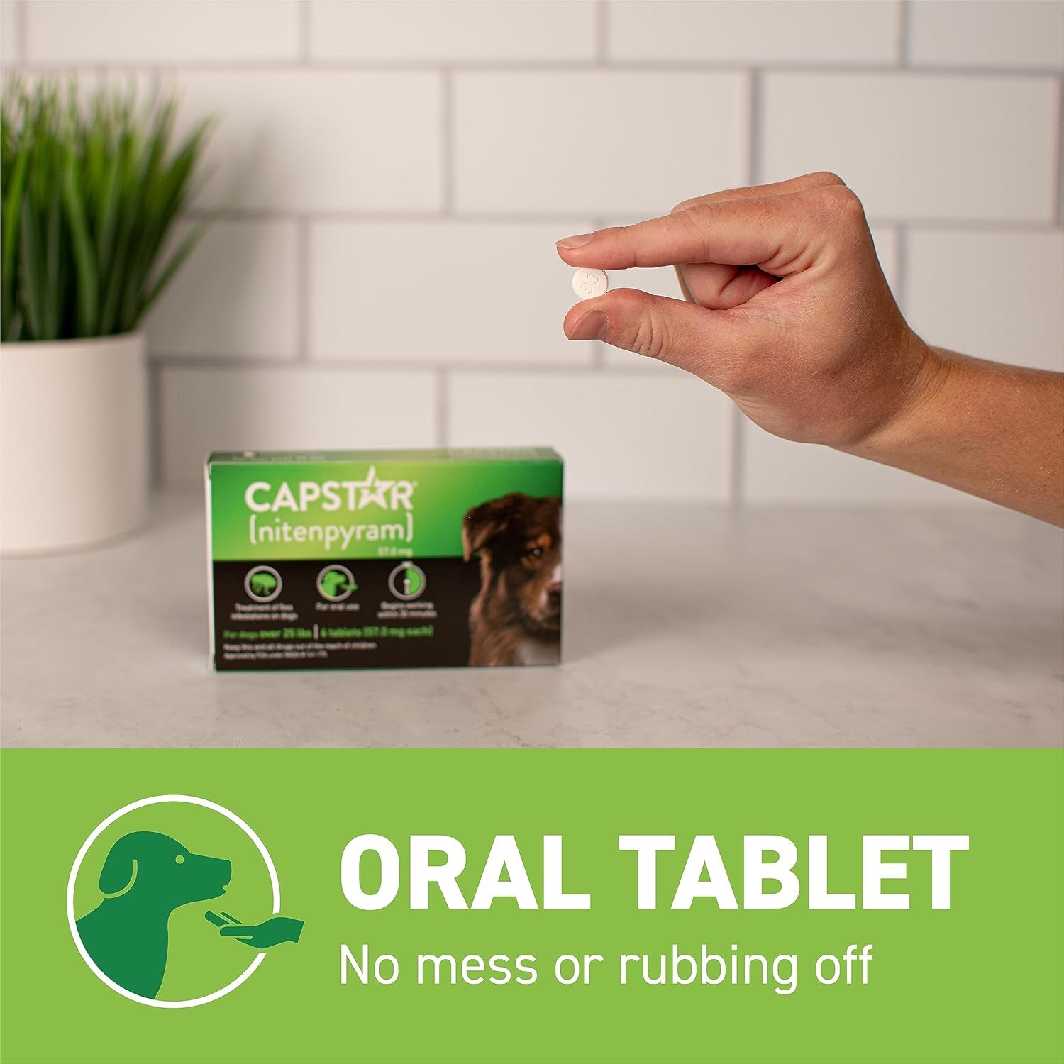 Oral Flea Treatment for Dogs, Fast Acting Tablets Start Killing Fleas in 30 Minutes, Medium & Large Dogs (Over 25 Lbs), 6 Doses