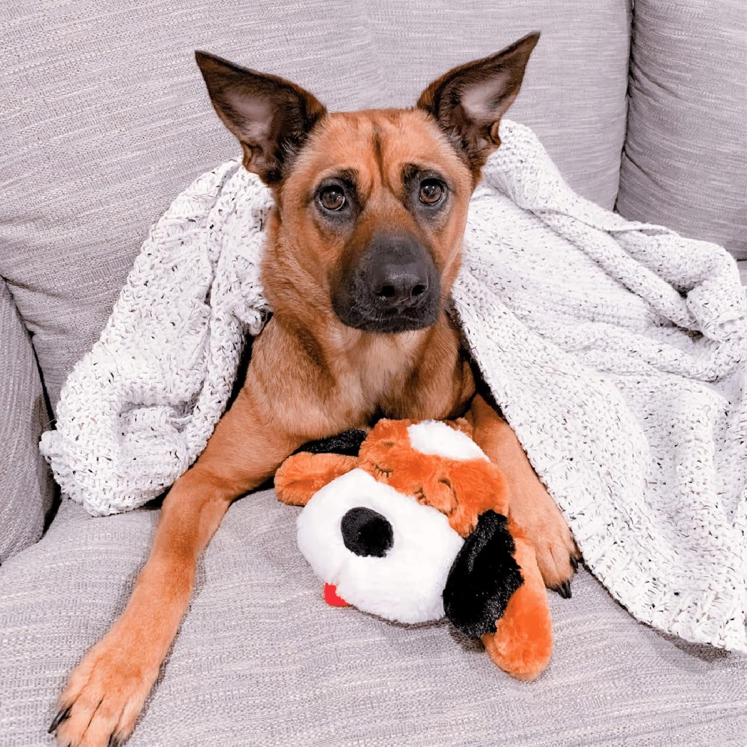 Original  Heartbeat Puppy Toy - Heartbeat Puppy for Dogs - Pet Anxiety Relief and Calming Aid - Comfort Dog Toy - Behavioral Training and Sleep Aid Cuddle Buddy - Crate Training Essential