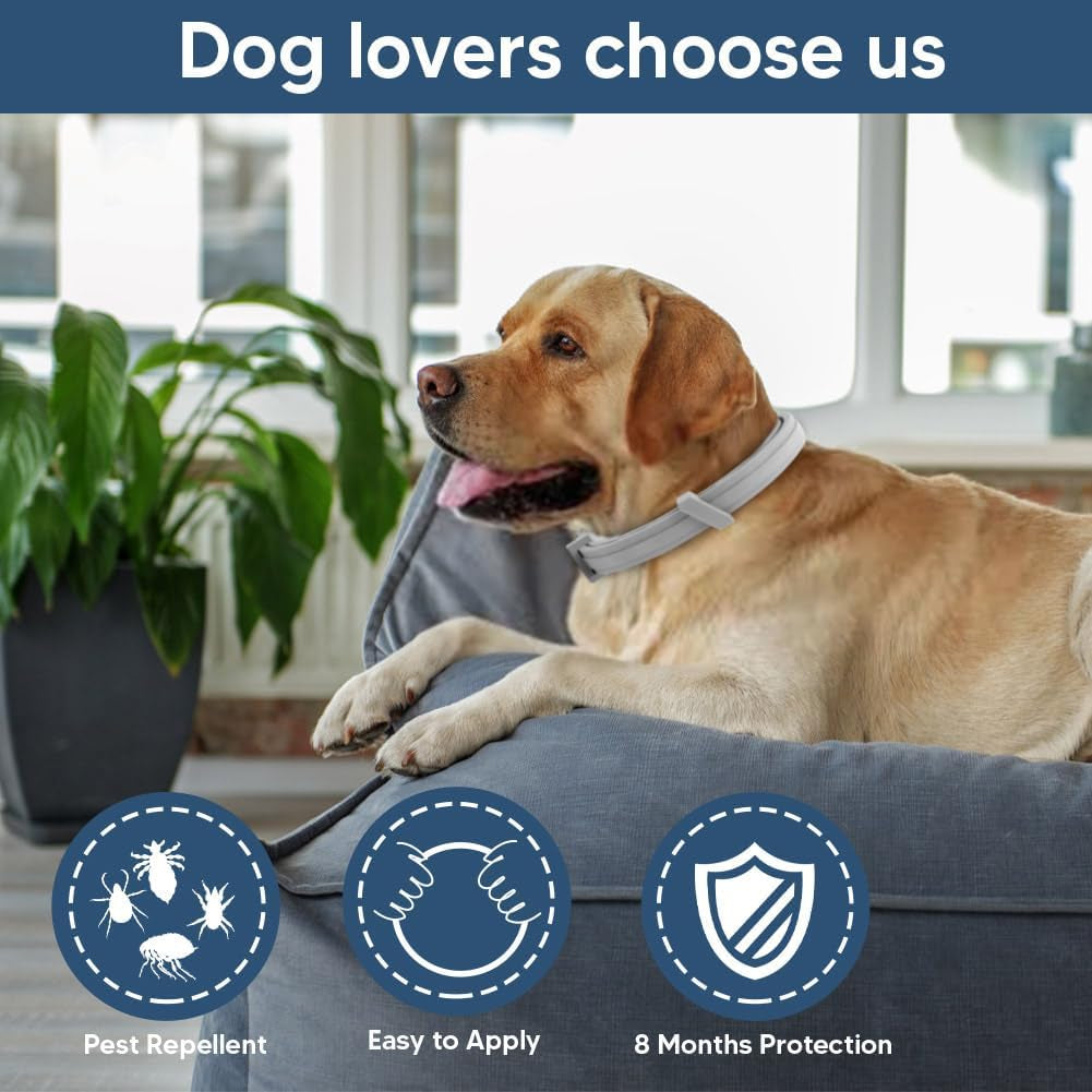 Flea Collar Dogs, Tick Collars for Dogs, Flea and Ticks Collar for Dog, Adjustable, Suitable of Dog, 8 Months Protection, Naturally, Effectively-2P