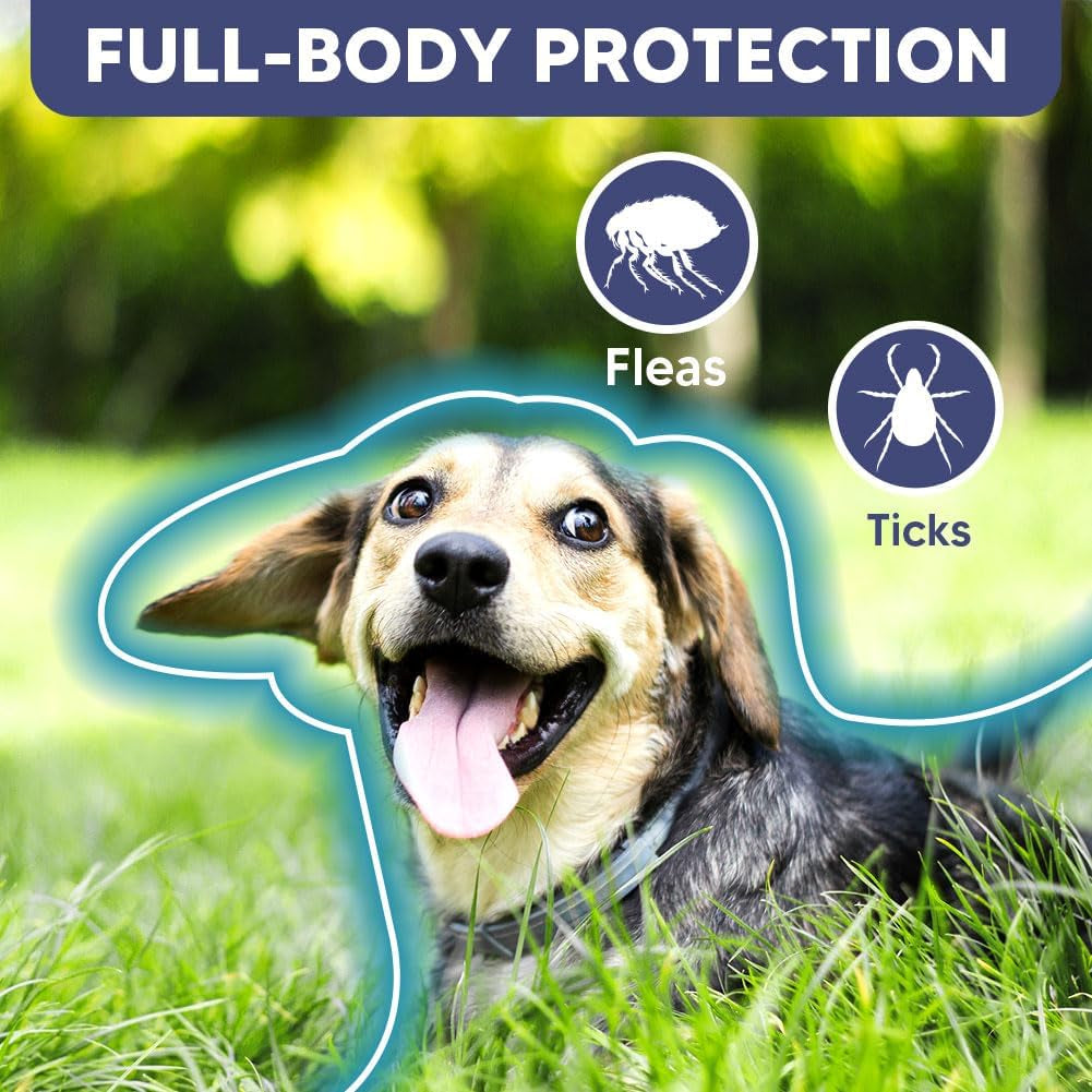 Flea Collar for Dogs, Adjustable Flea and Tick Collar for Large Dogs, 8 Months Protection 2 Count
