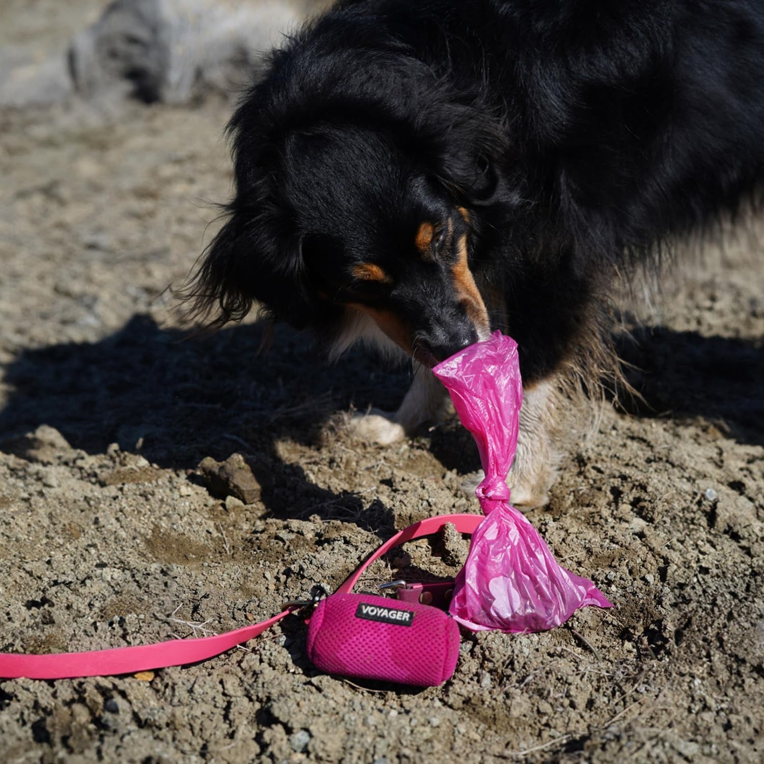 Dog Poop Bags (150 Bags) for Waste Refuse Cleanup, Doggy Roll Replacements for Outdoor Puppy Walking and Travel, Leak Proof and Tear Resistant, Thick Plastic - Pink Heart