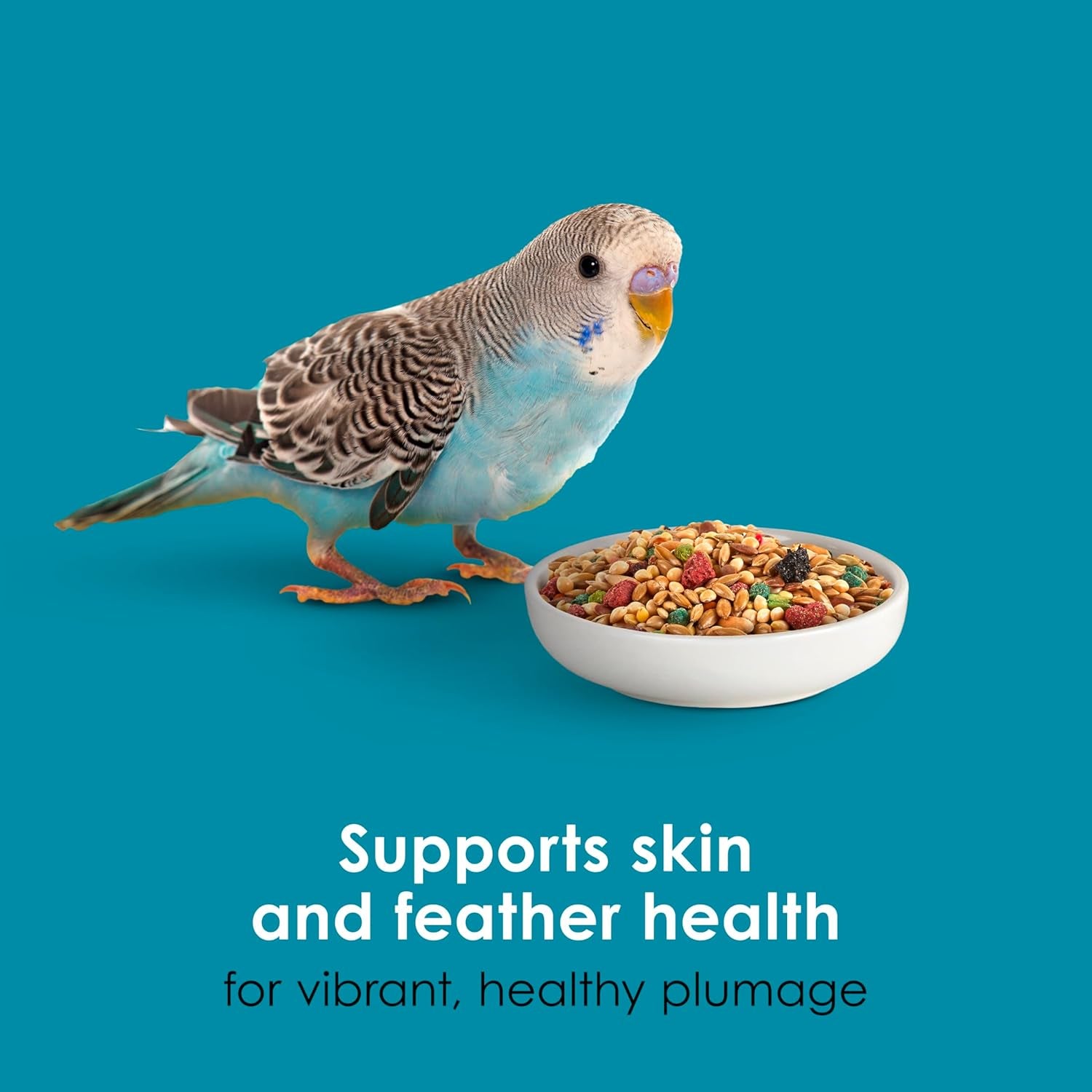 Forti-Diet Pro Health Parakeet Food 2Lb