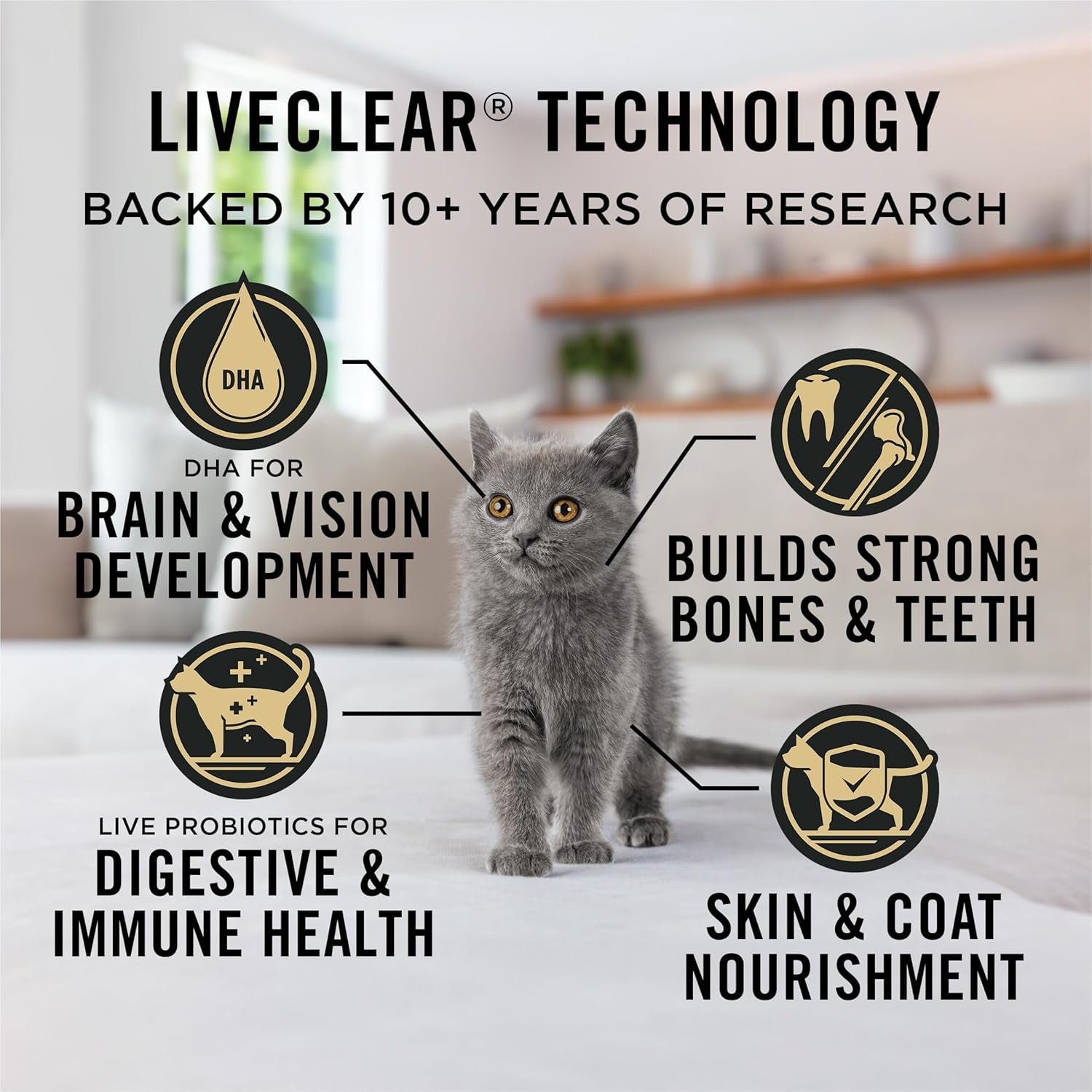 Liveclear Dry Cat Food for Kittens Cat Allergen Reducer Chicken and Rice Formula - 5.5 Lb. Bag