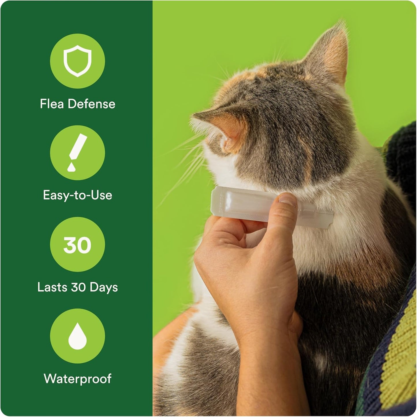 plus Topical Large Cat Flea Treatment for Cats and Kittens, Flea Prevention and Control, Fast-Acting Waterproof Drops, 6-Month Supply