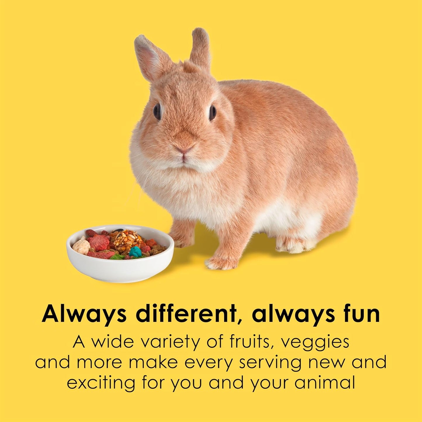 Fiesta Rabbit Food, Nutritious and Fun Blend, Supports Dental Health and Digestion, 20 Pounds