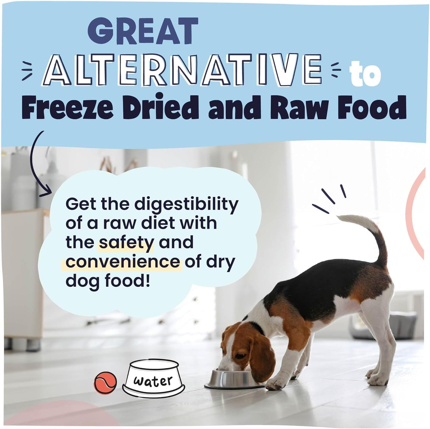 Air Dried Dog Food with Real Beef, Grain-Free, Made in USA, Non-Gmo & Vet Recommended, High Protein Limited Ingredient Full-Feed for All Breeds & Ages, 2Lb Bag