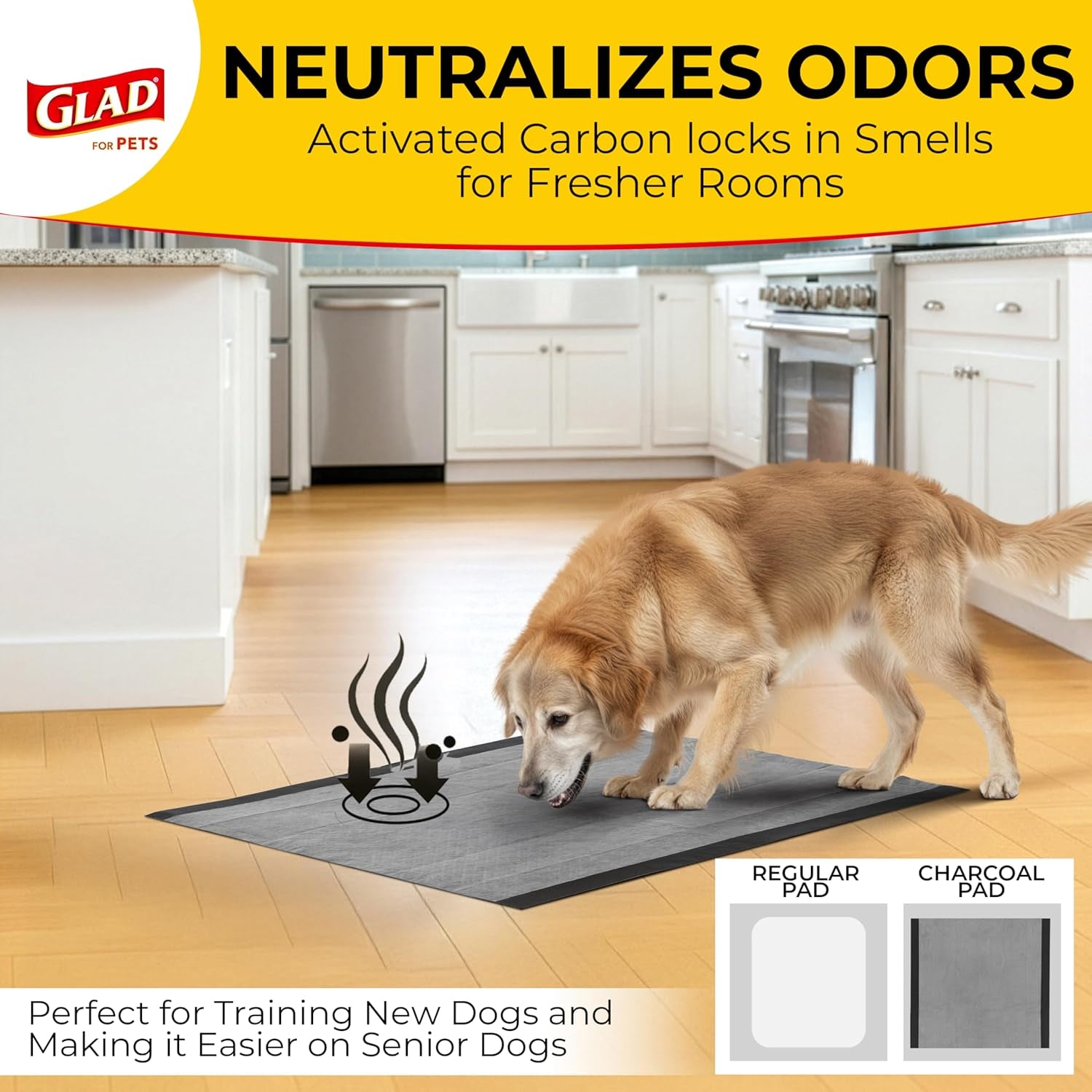 for Pets Black Charcoal Puppy Pads, 23"X23" Disposable Training Pads That Absorb & Neutralize Urine with Activated Carbon - 100 Count