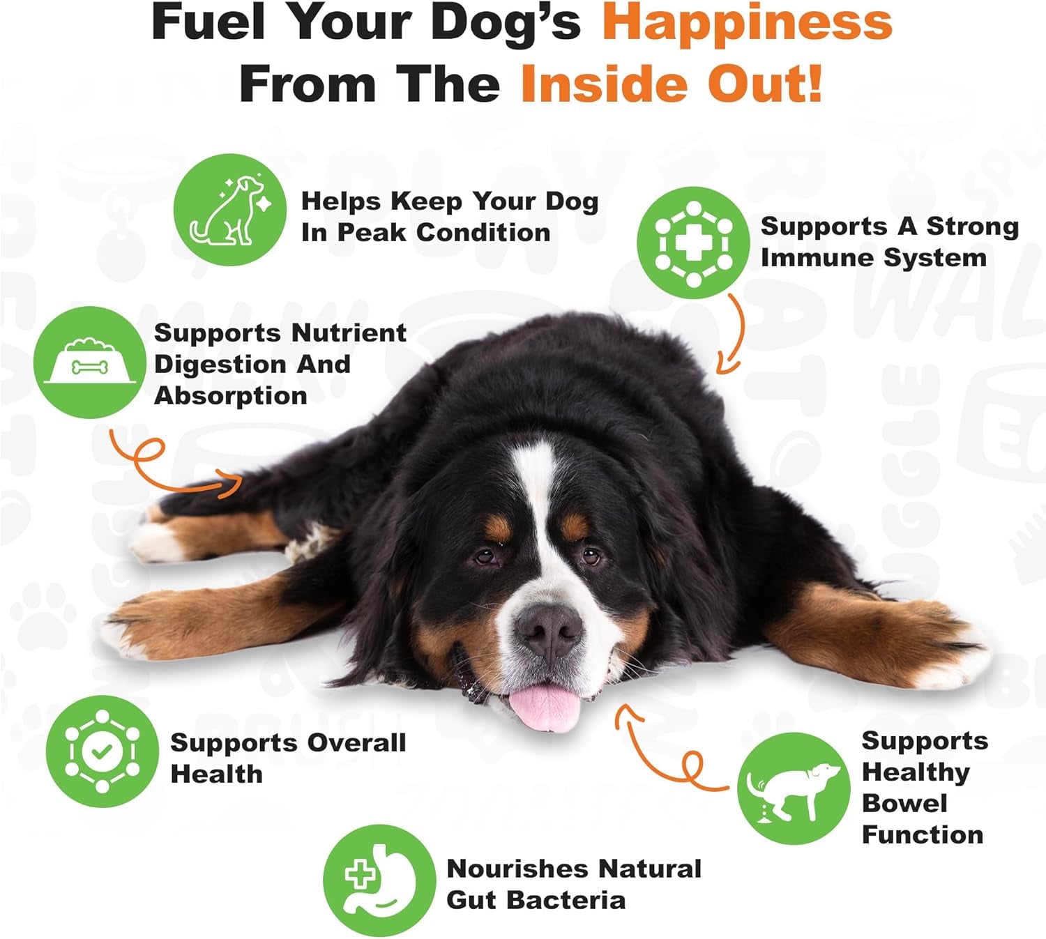 Probiotics for Dogs - Advanced Dog Probiotics with Prebiotics - Promotes Digestive Health - Supports Immune System and Overall Health (Pumpkin) 225 Soft Chews