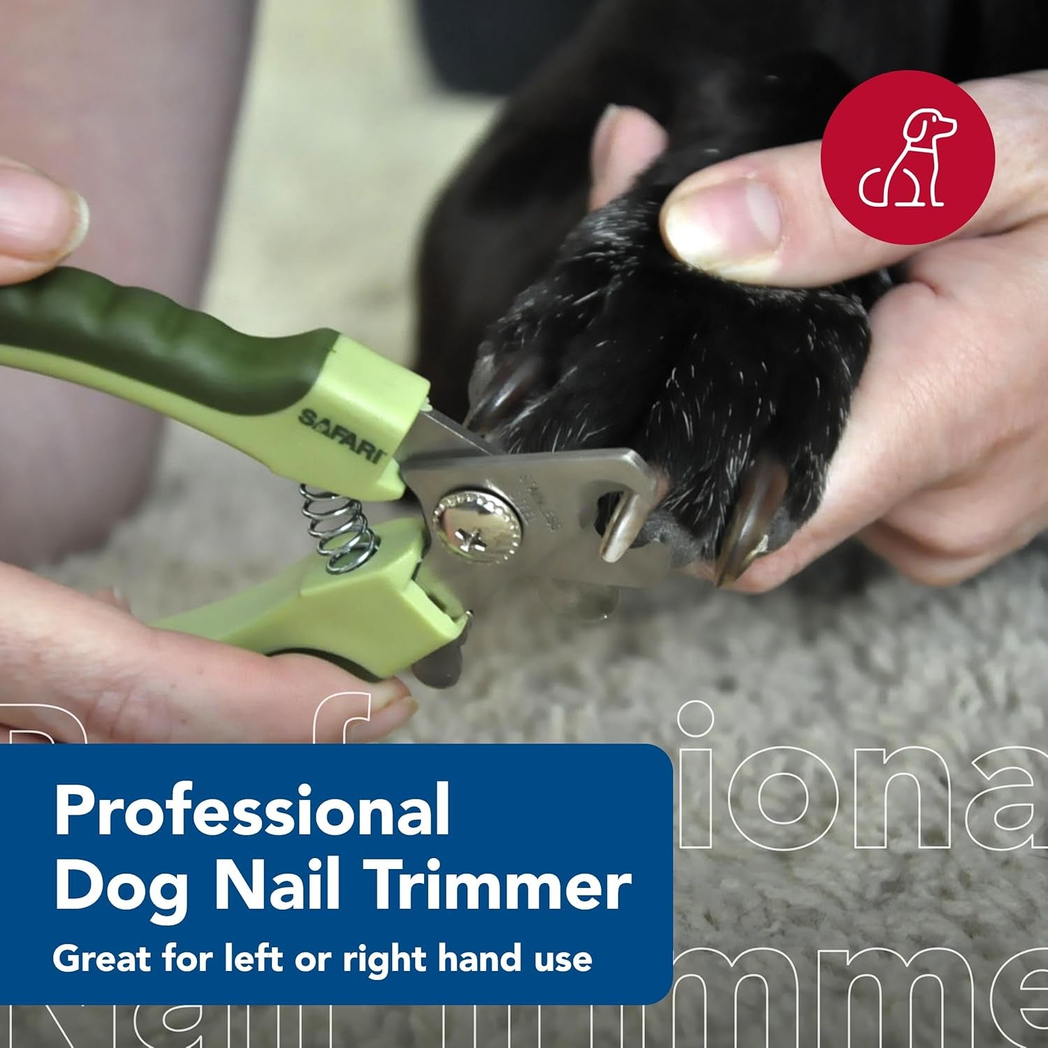 Pet Safari Professional Dog Nail Trimmer - Nail Clippers & Supplies for Grooming - Dog Claw Care for Small & Large Pets - Large, 6.6" X 2"