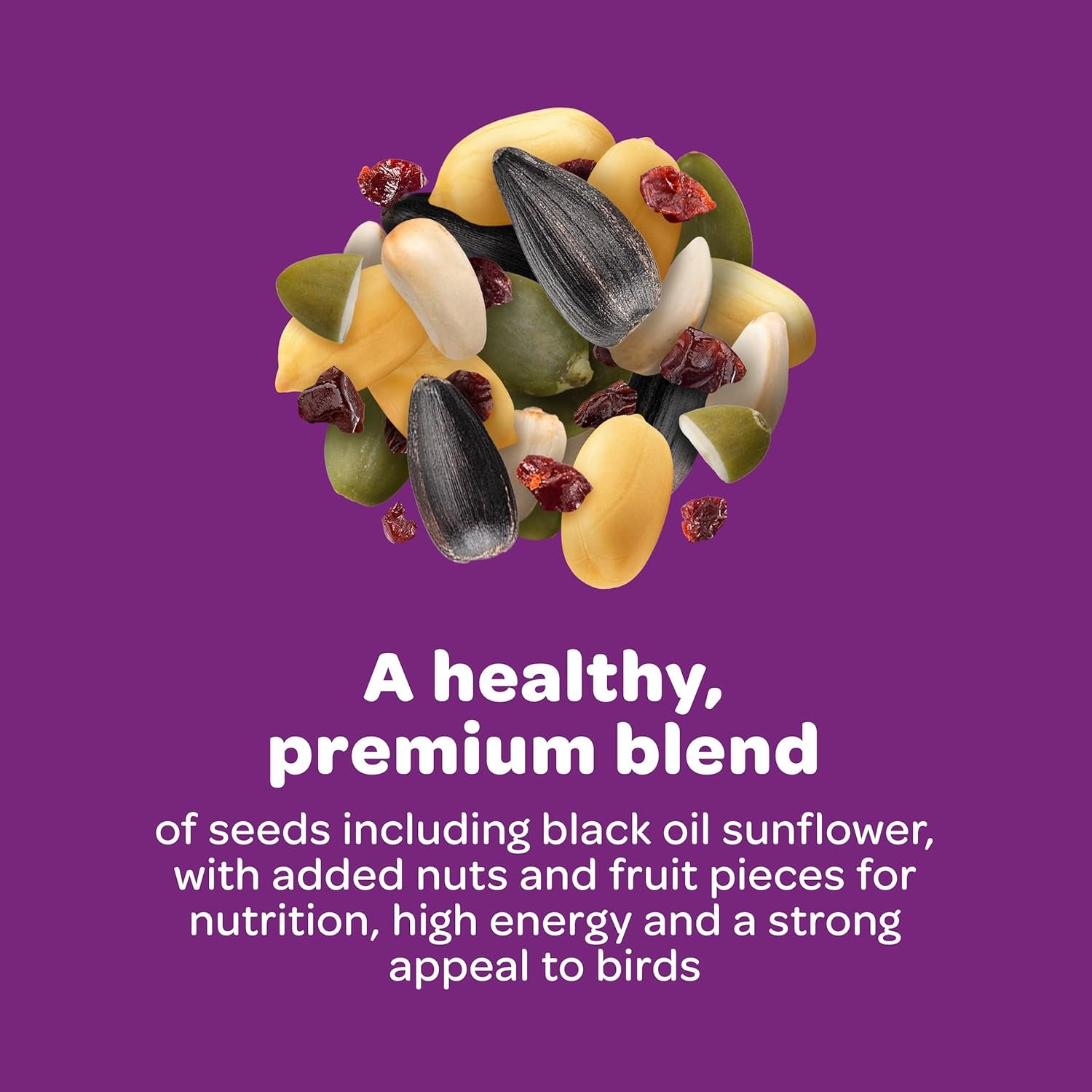 Nut & Fruit Wild Bird Seed, 5 Lb