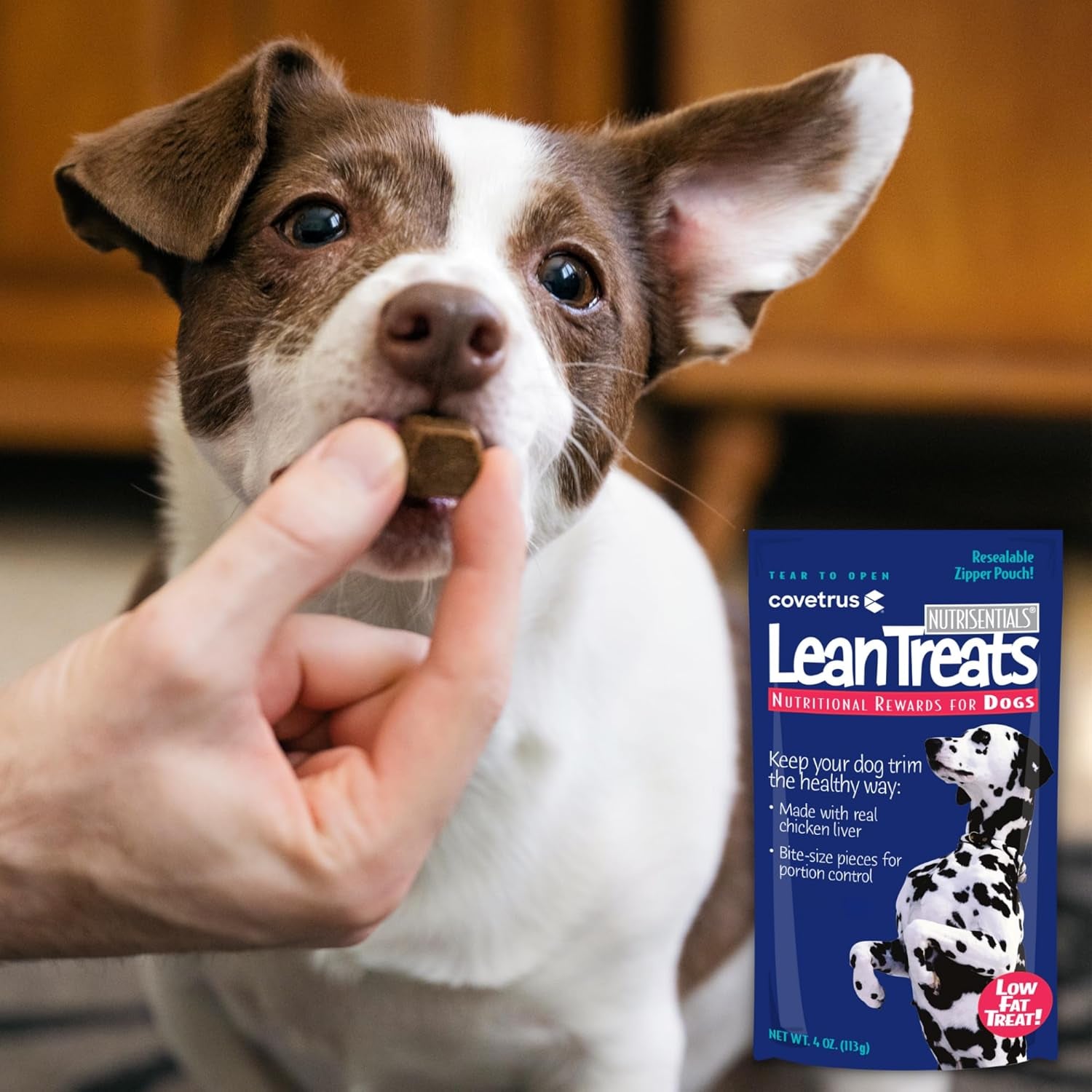 Nutrisential Lean Treats for Dogs - Small, Medium & Large Dogs (K9) - Nutritional Low Fat, Bite-Size - Soft Chicken Flavor - 6 Pack - 4Oz