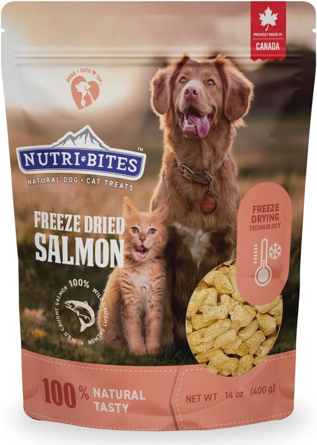 Freeze Dried Salmon Dog & Cat Treats | Healthy Pet Training Treats or Food Topper | All Natural, 1 Single Animal Protein, High Protein | Premium Bulk Value Pack, 14 Oz