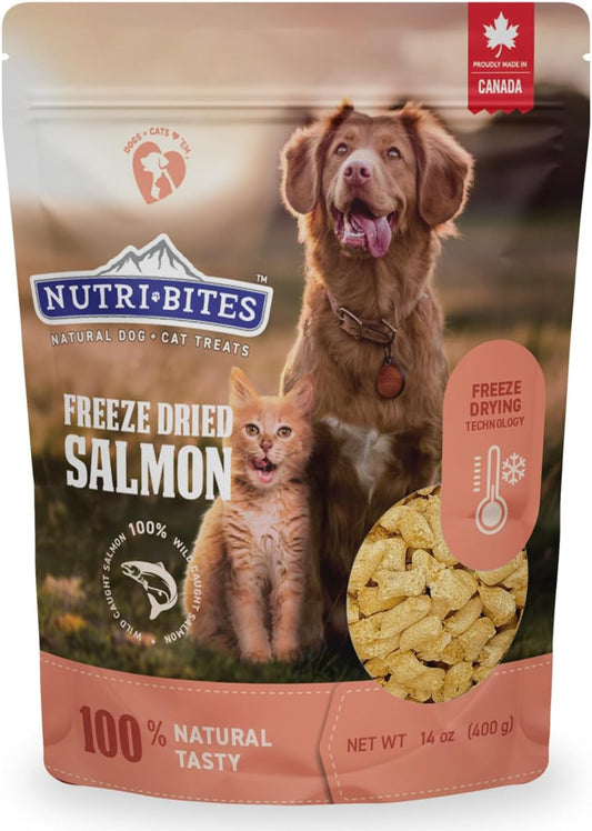 Freeze Dried Salmon Dog & Cat Treats | Healthy Pet Training Treats or Food Topper | All Natural, 1 Single Animal Protein, High Protein | Premium Bulk Value Pack, 14 Oz