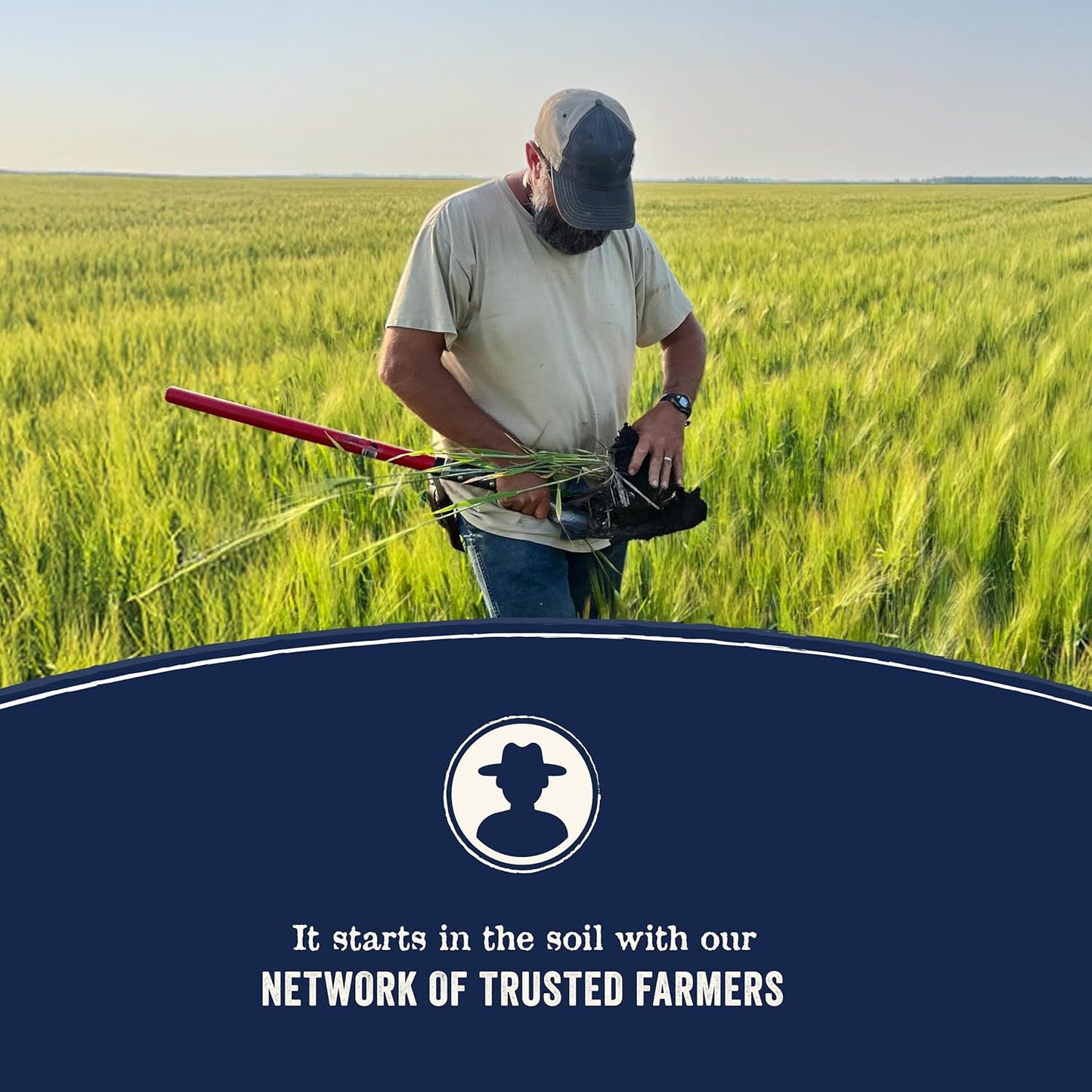 Pure Farm to Bowl, Grain-Free, Wild-Caught Salmon & Sweet Potato Dog Food, Adult 22Lb