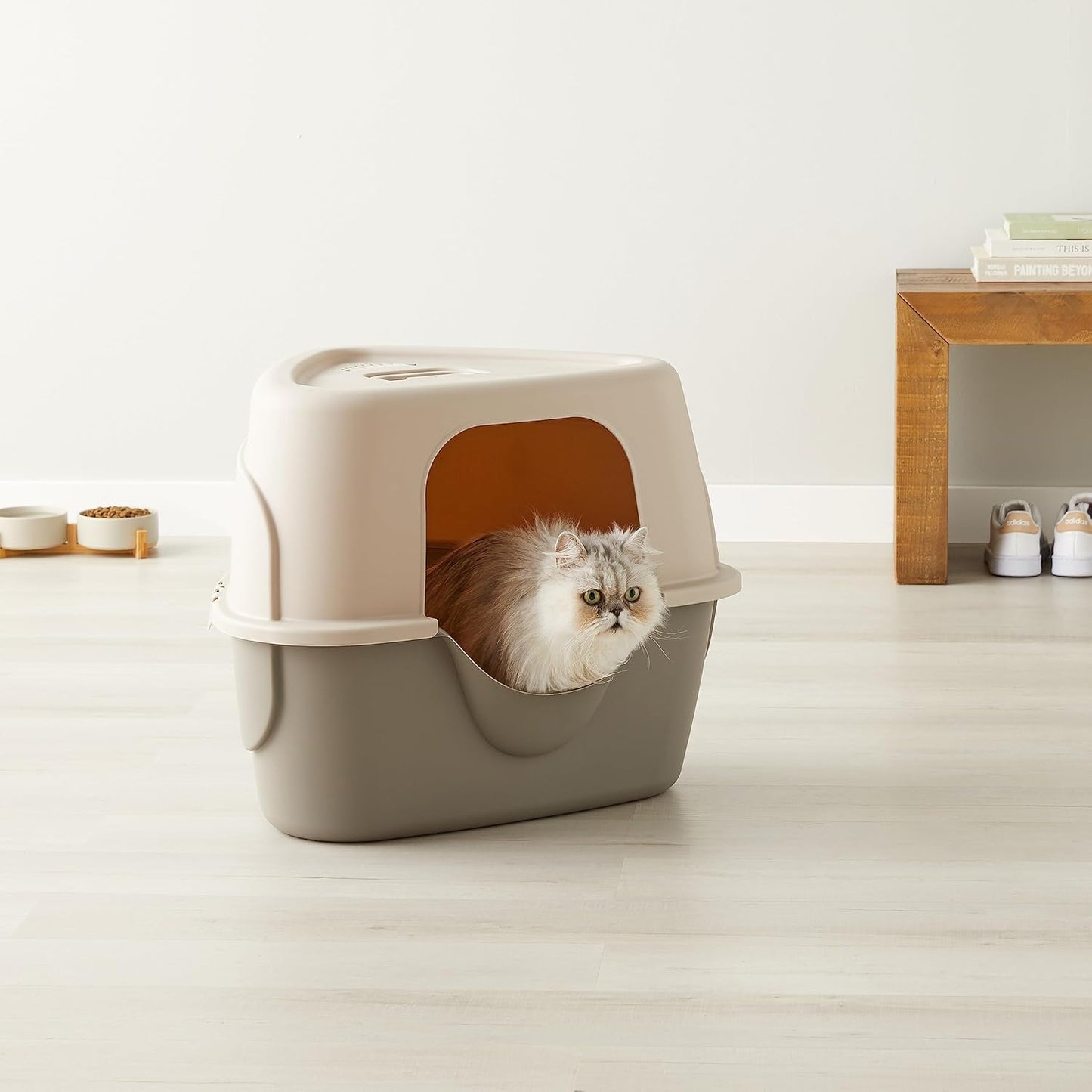 Cat Litter Box with Lid, No-Mess, Standard, Unisex, Charcoal, 26 in X 23 in X 20 In
