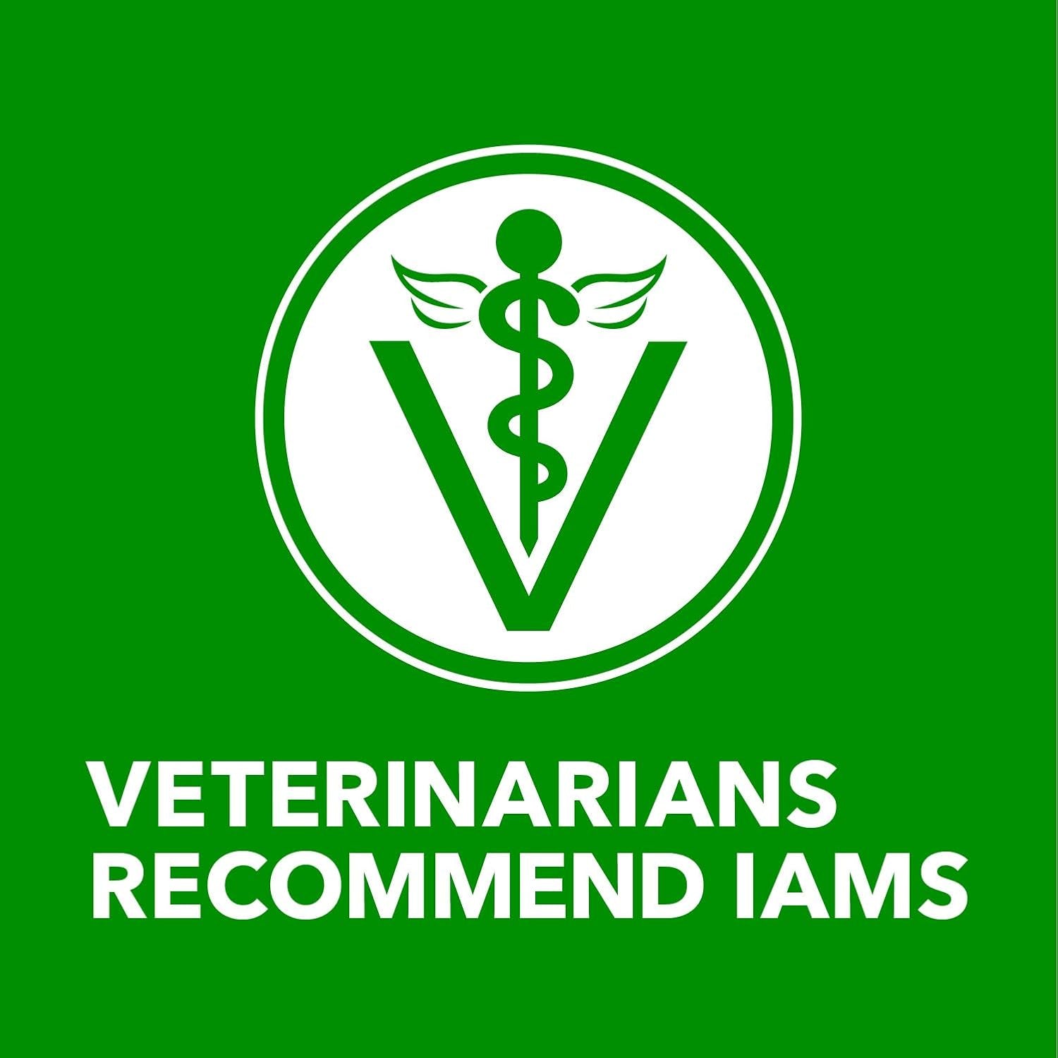 Proactive Health Healthy Aging Wet Dog Food Classic Ground with Slow Cooked Chicken and Rice, 13 Oz. Cans (12 Count, Pack of 1)