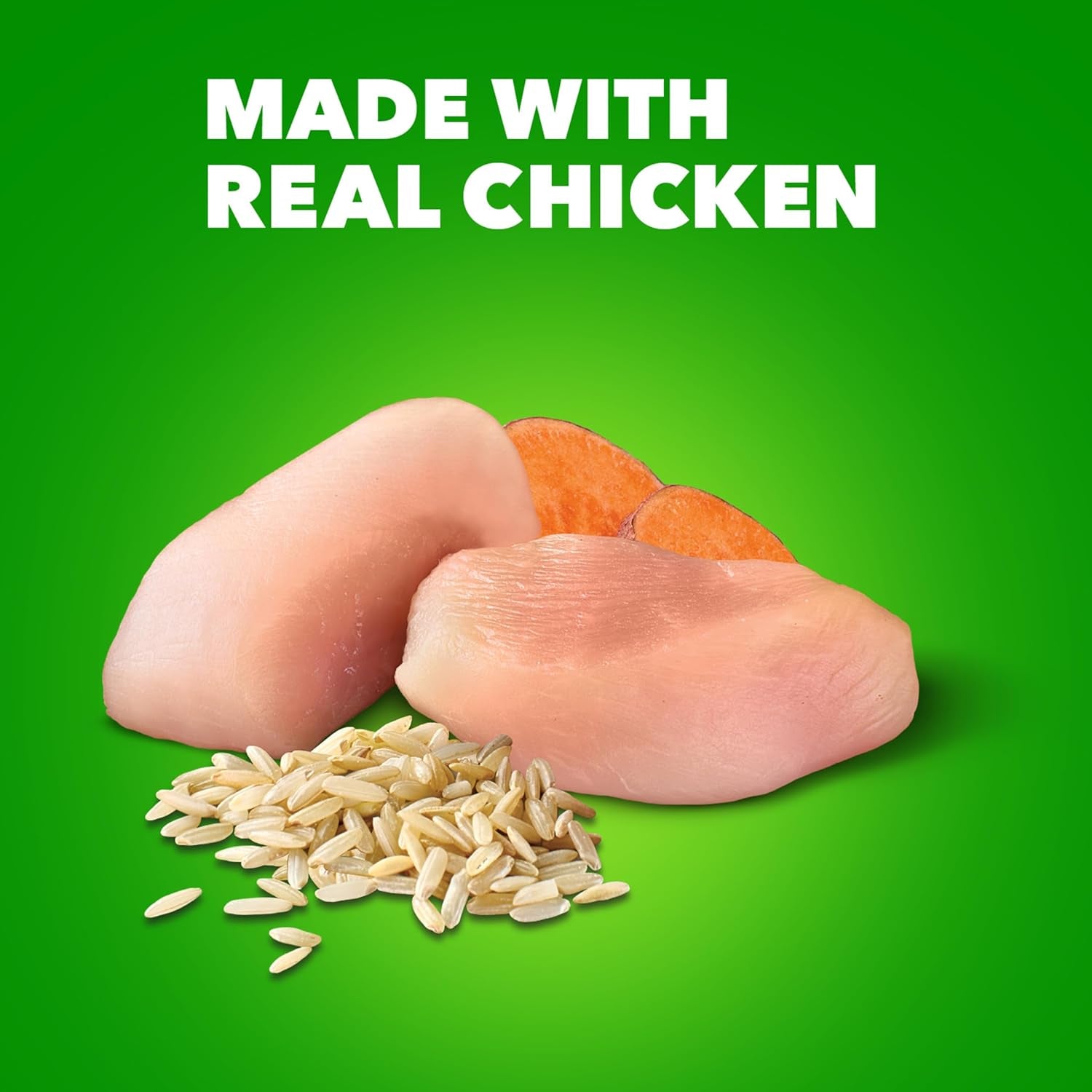 Proactive Health Healthy Aging Wet Dog Food Classic Ground with Slow Cooked Chicken and Rice, 13 Oz. Cans (12 Count, Pack of 1)