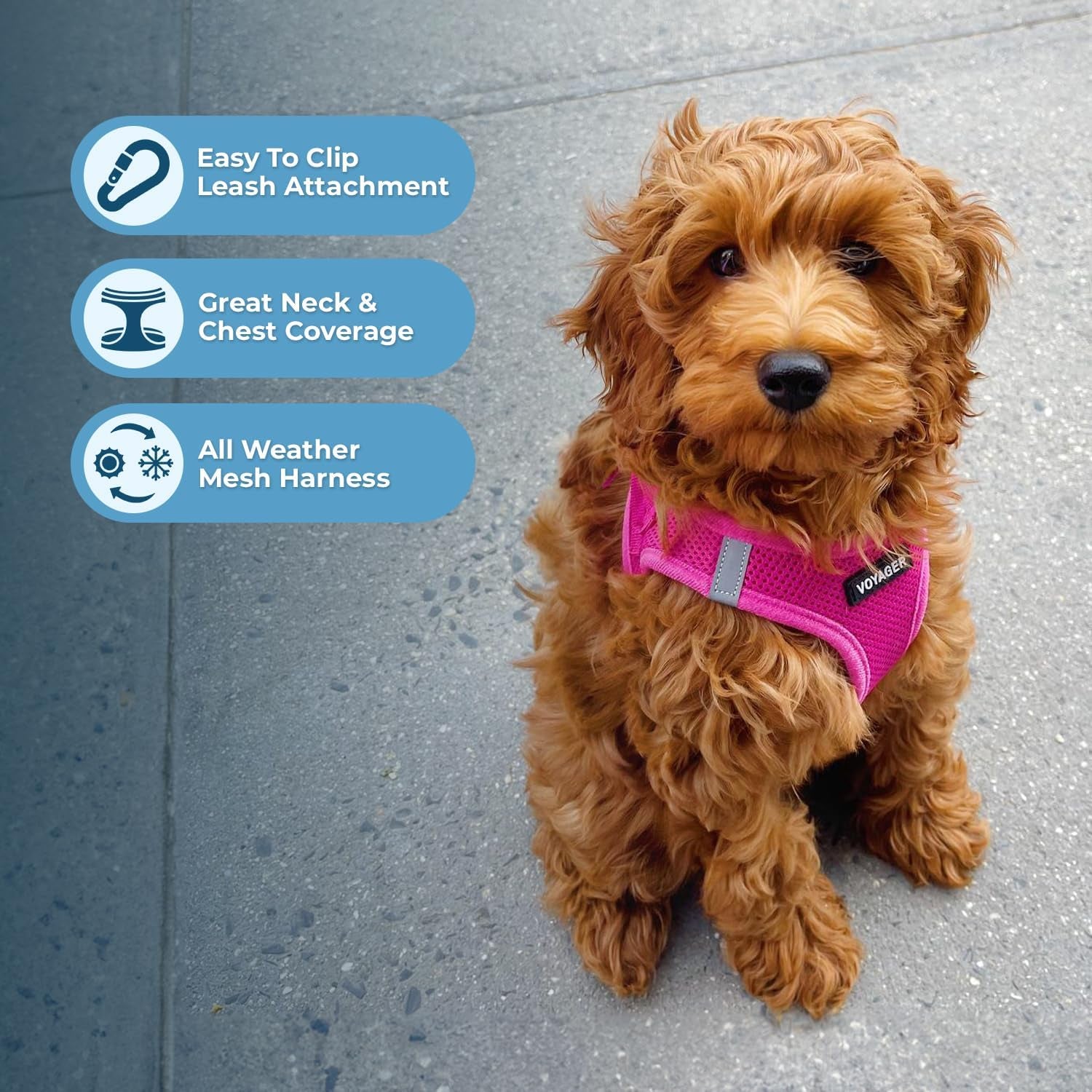 Voyager Step-In Air Dog Harness - All Weather Mesh, Reflective, No Pull Harness for Small, Medium Dogs, Cats - Secure with Hook & Loop Fastener, Buckle, Double D-Rings - Fuchsia, L