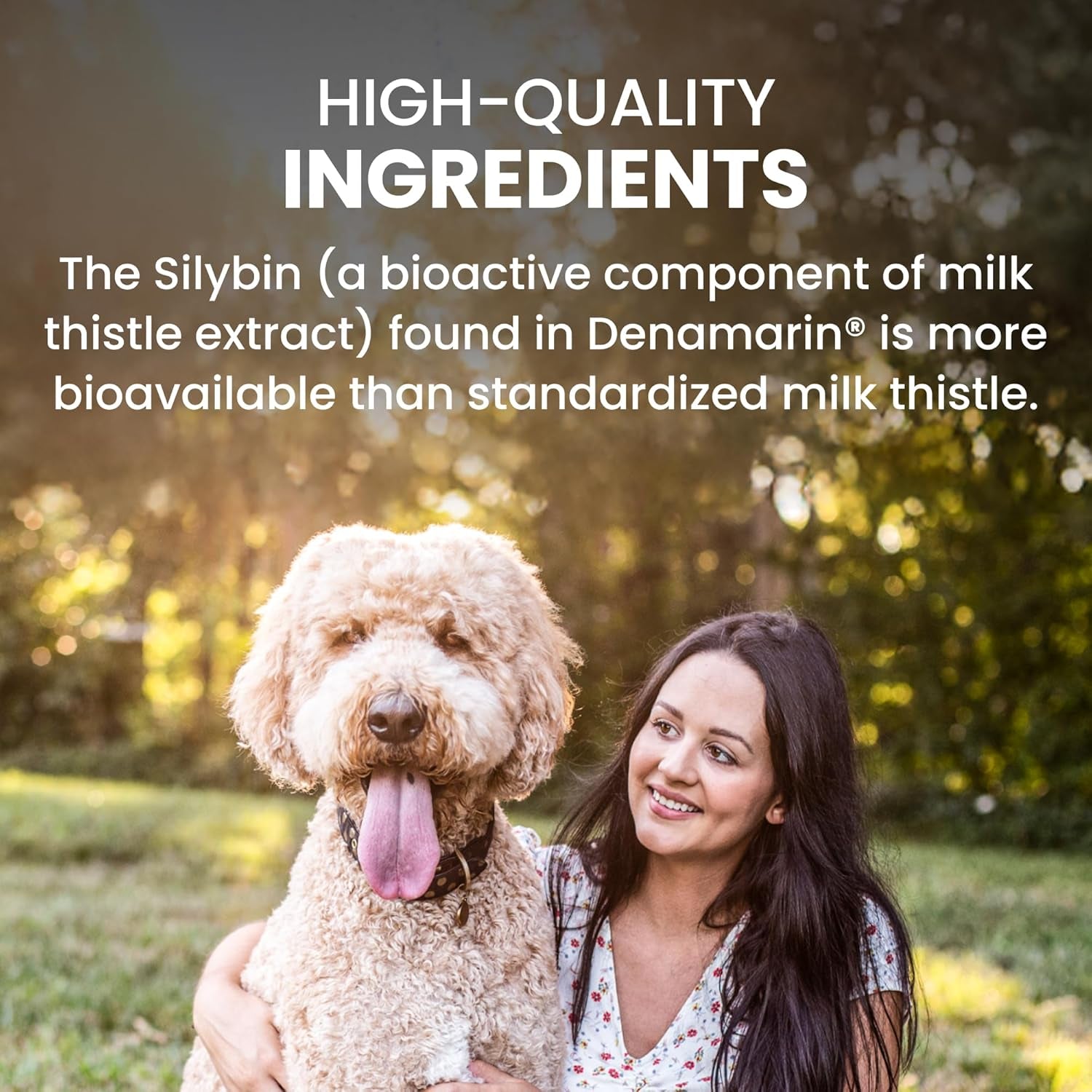 Denamarin Liver Health Supplement for Large Dogs - with S-Adenosylmethionine (Same) and Silybin, 30 Tablets(Pack of 1)