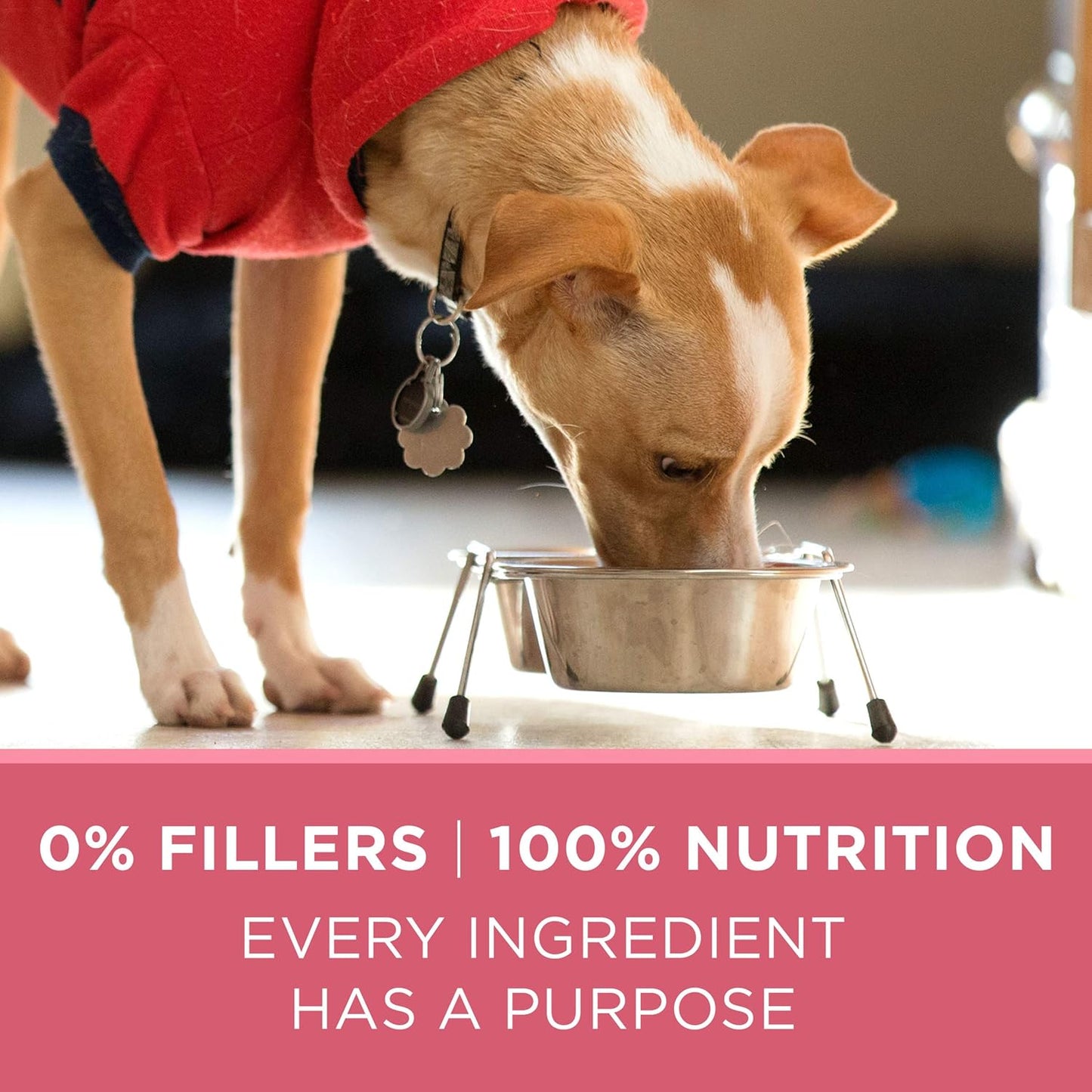 Natural, Sensitive Stomach Dry Dog Food, +Plus Skin & Coat Formula - 16.5 Lb. Bag