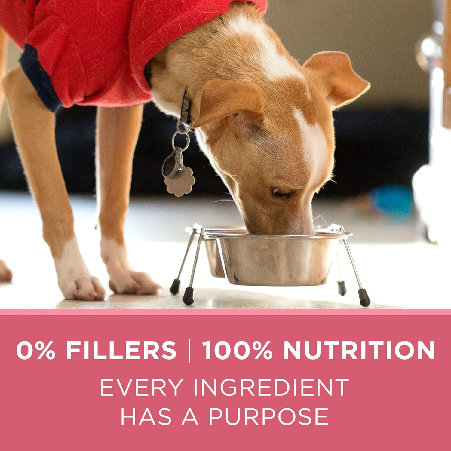 Natural, Sensitive Stomach Dry Dog Food, +Plus Skin & Coat Formula - 16.5 Lb. Bag