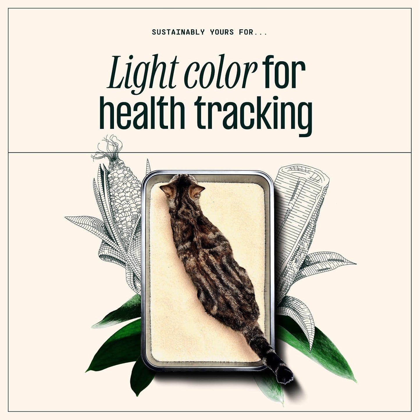 Cat Litter, Large-Grain Formula 10 Lbs