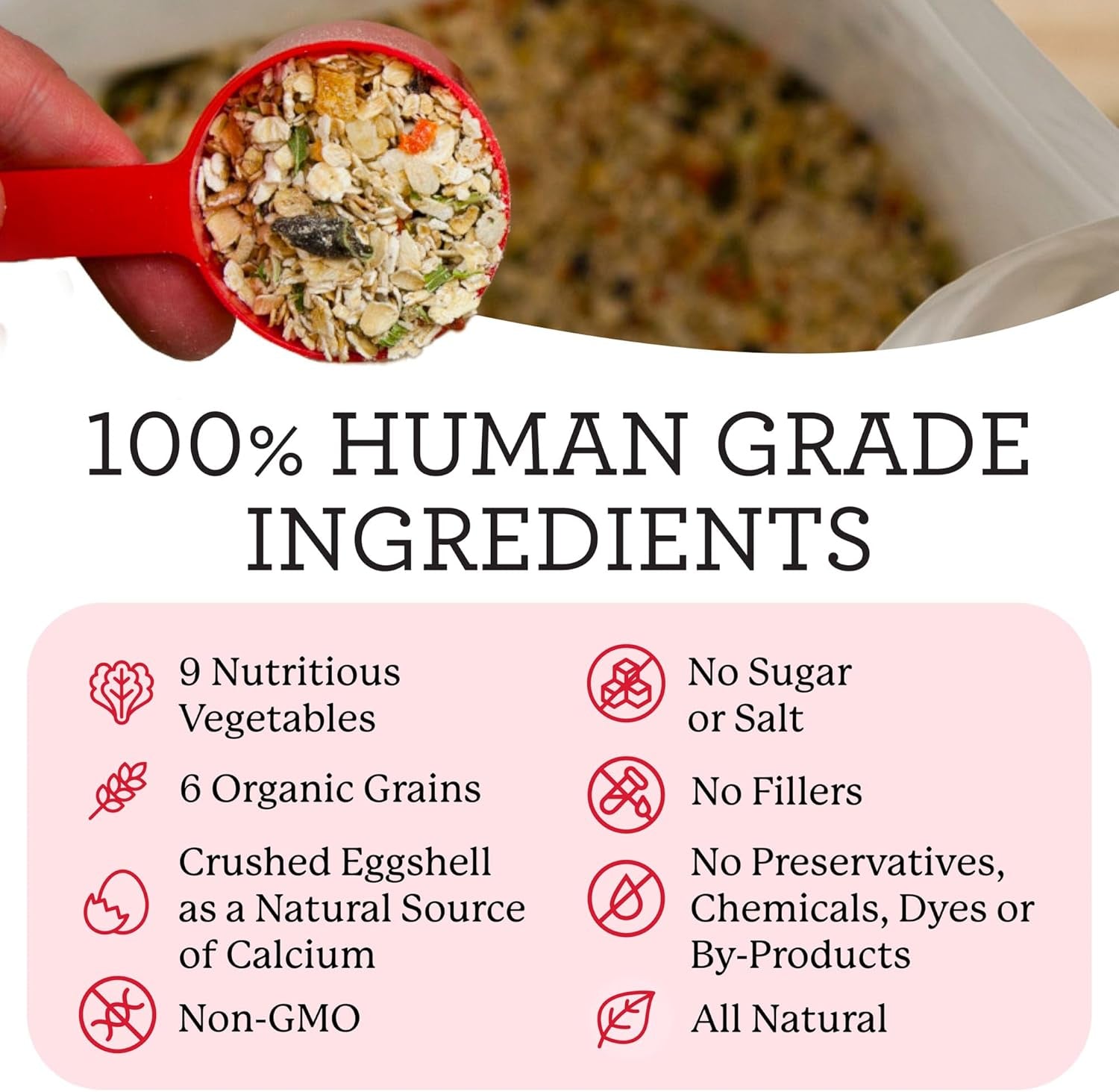 Canine Health Miracle Dog Food, Human Grade Dehydrated Base Mix for Dogs with 9 Vegetables and 6 Organic Whole Grains (5 Pounds)