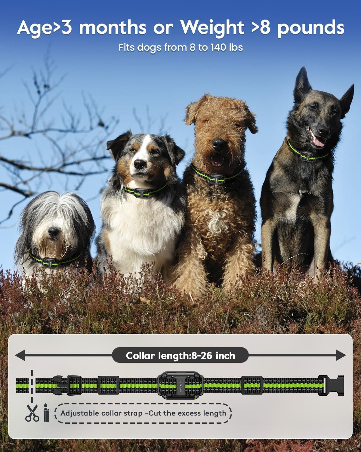 Dog Training Collar with Remote, 4200FT Electronic Dog Shock Collar with Beep, Vibration, Shock, Light and No Shock Mode, Electric Training Collar Set for Small Medium Large Dogs (Black Green)