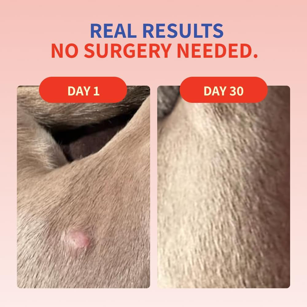 Turkey Tail Mushroom for Dogs – Lipoma Treatment for Dogs – Mushroom Supplement for Lumps and Bumps - Dog Wart Remover - Dog Probiotic Mushroom Powder