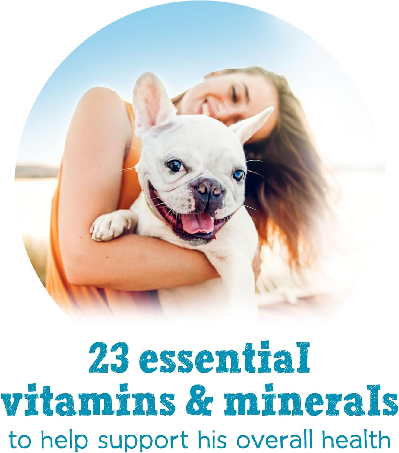 Purina  Small Breed Wet Dog Food with Gravy, Incredibites with Real Beef - (8 Packs of 3) 3 Oz. Cans