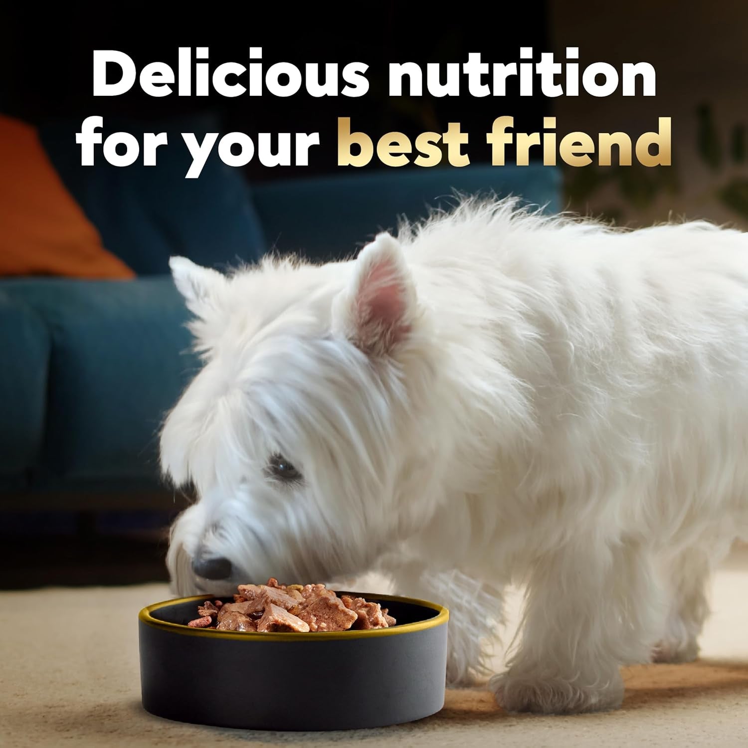 Wet Dog Food Classic Loaf in Sauce, Steak and Chicken Lovers Variety Pack with Real Meat or Real Chicken, 3.5 Oz. Easy Peel Trays (36 Count, Pack of 1)
