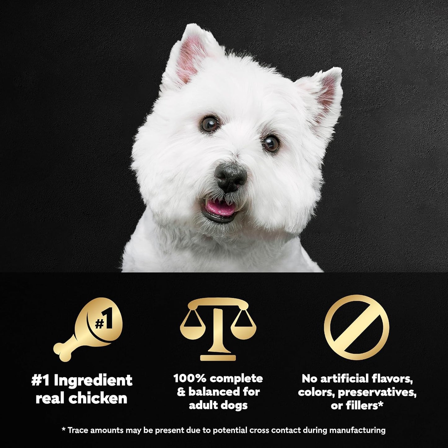 Wholesome Bowls Adult Wet Dog Food, Chicken Recipe, 3 Oz. (10 Count, Pack of 1)