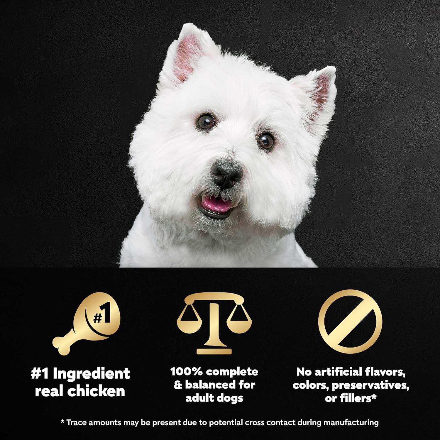 Wholesome Bowls Adult Wet Dog Food, Chicken Recipe, 3 Oz. (10 Count, Pack of 1)