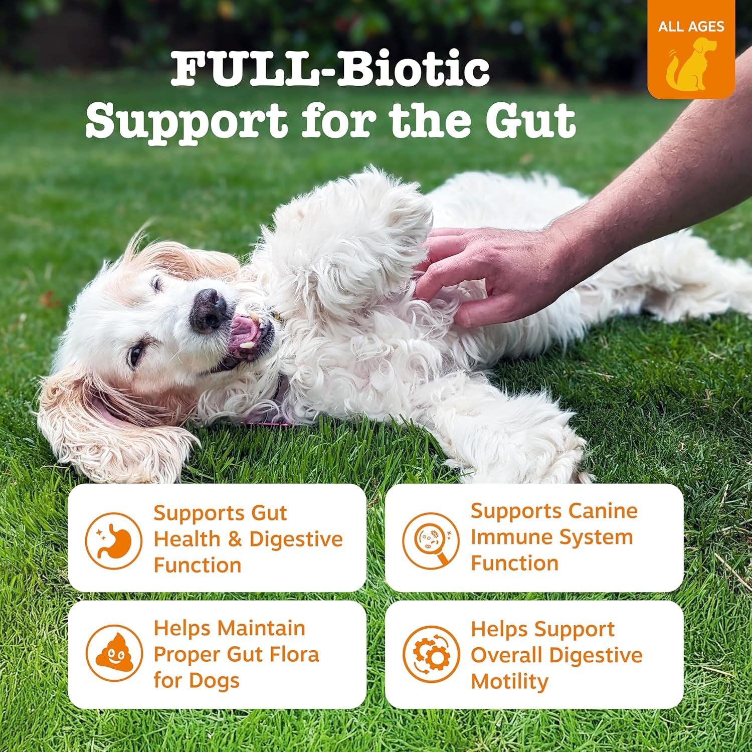 Vet Strength Probiotics for Dogs, Digestive Health & Gut Flora Support, Dog Supplements, 90 Count