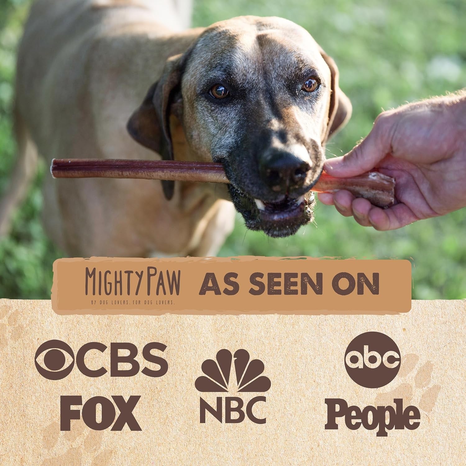 Long Lasting 12" Bully Sticks for Dogs - All Natural Grass Fed Beef Chews. Lower Odor Dog Bully Sticks for Large Dogs, Medium and Small Breeds. Single Ingredient Treats