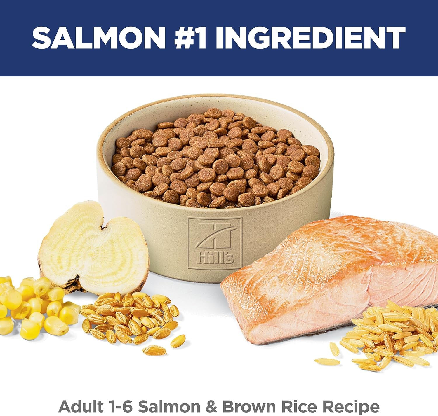 Adult 1-6, Adult 1-6 Premium Nutrition, Dry Cat Food, Salmon & Brown Rice, 6.5 Lb Bag